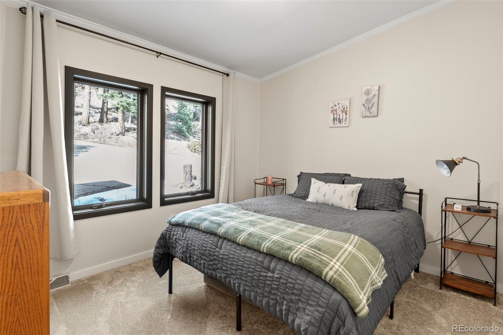 MLS Image #23 for 11608  nichols way,conifer, Colorado