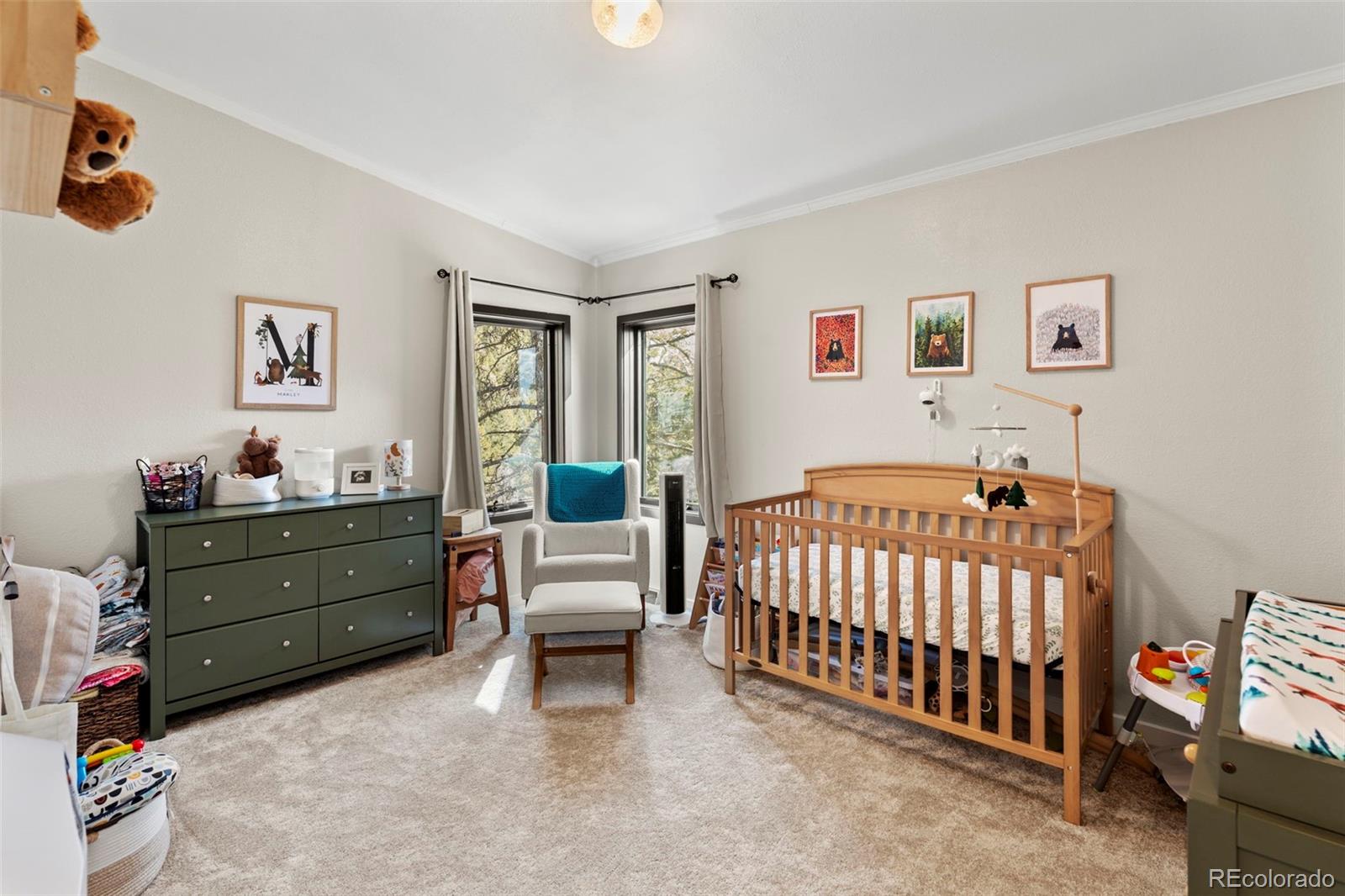 MLS Image #24 for 11608  nichols way,conifer, Colorado