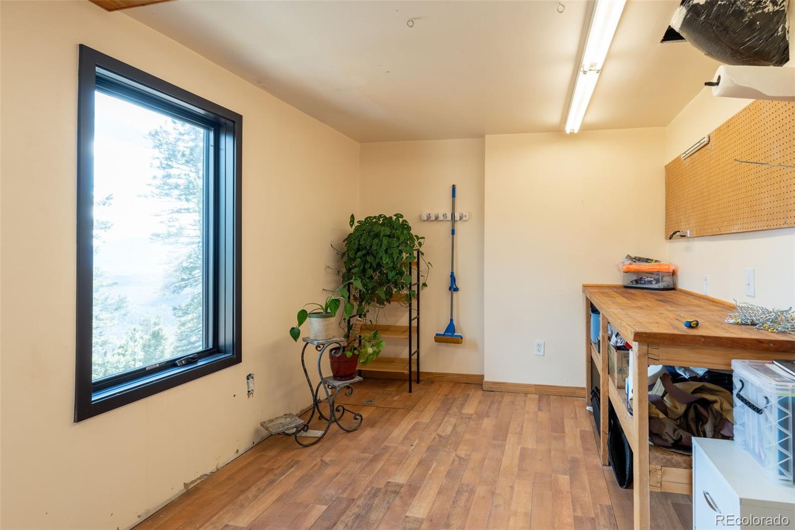 MLS Image #29 for 11608  nichols way,conifer, Colorado