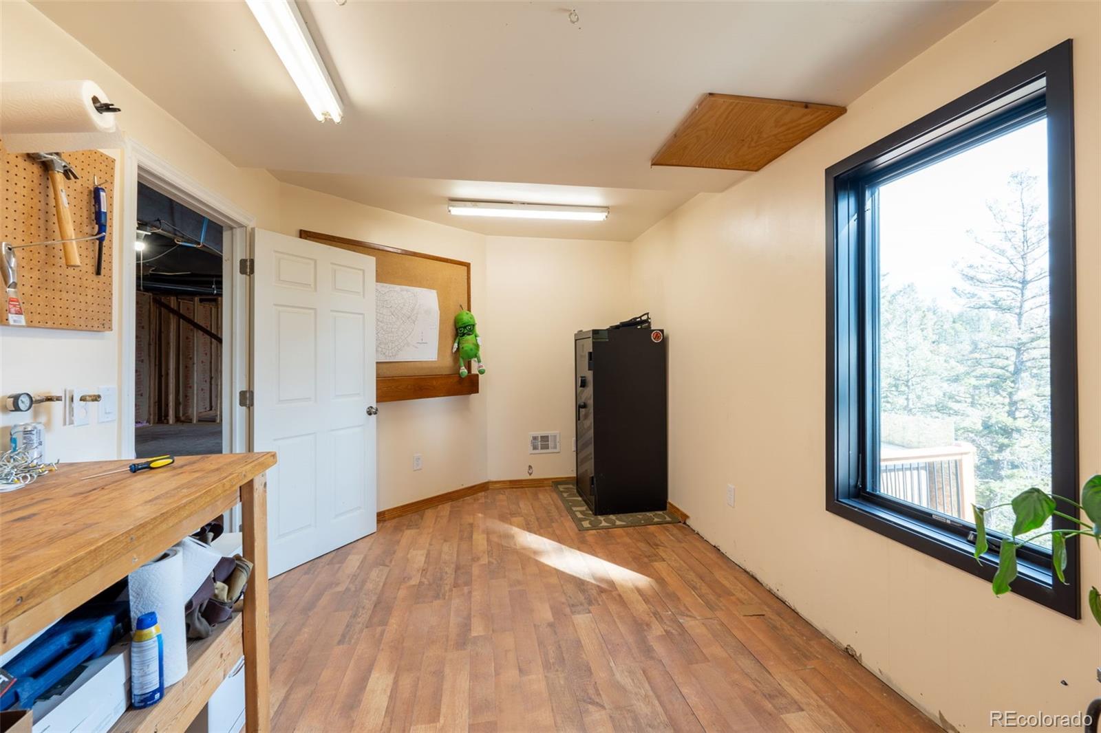 MLS Image #30 for 11608  nichols way,conifer, Colorado