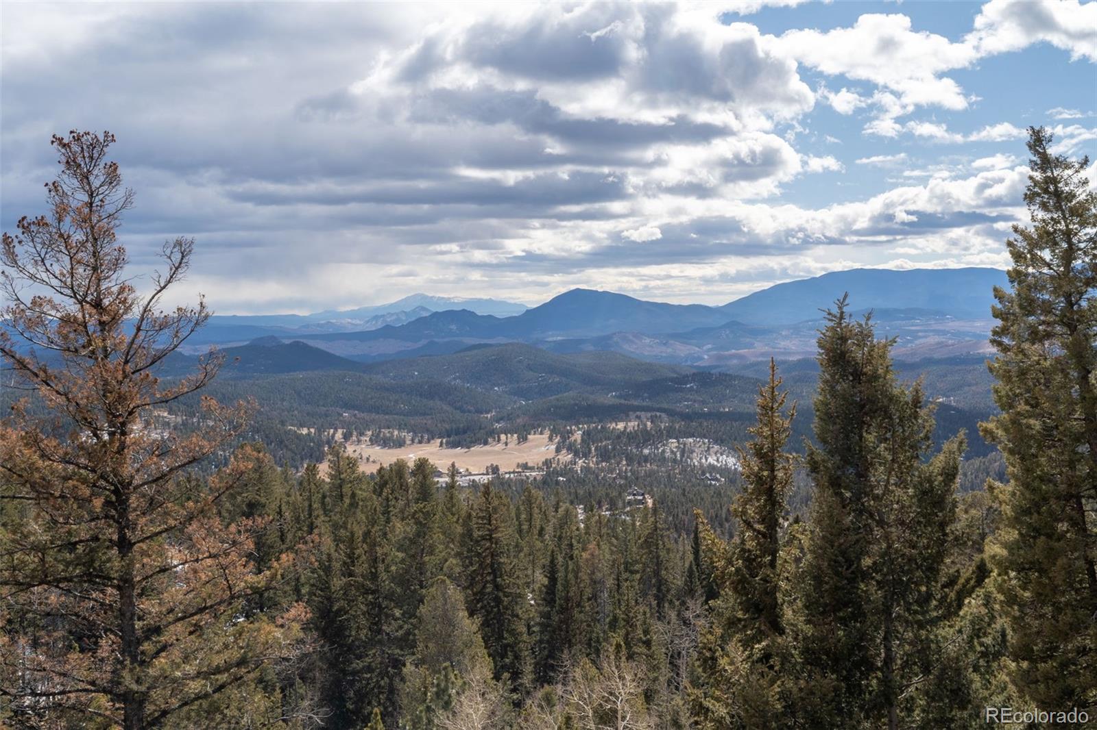 MLS Image #35 for 11608  nichols way,conifer, Colorado