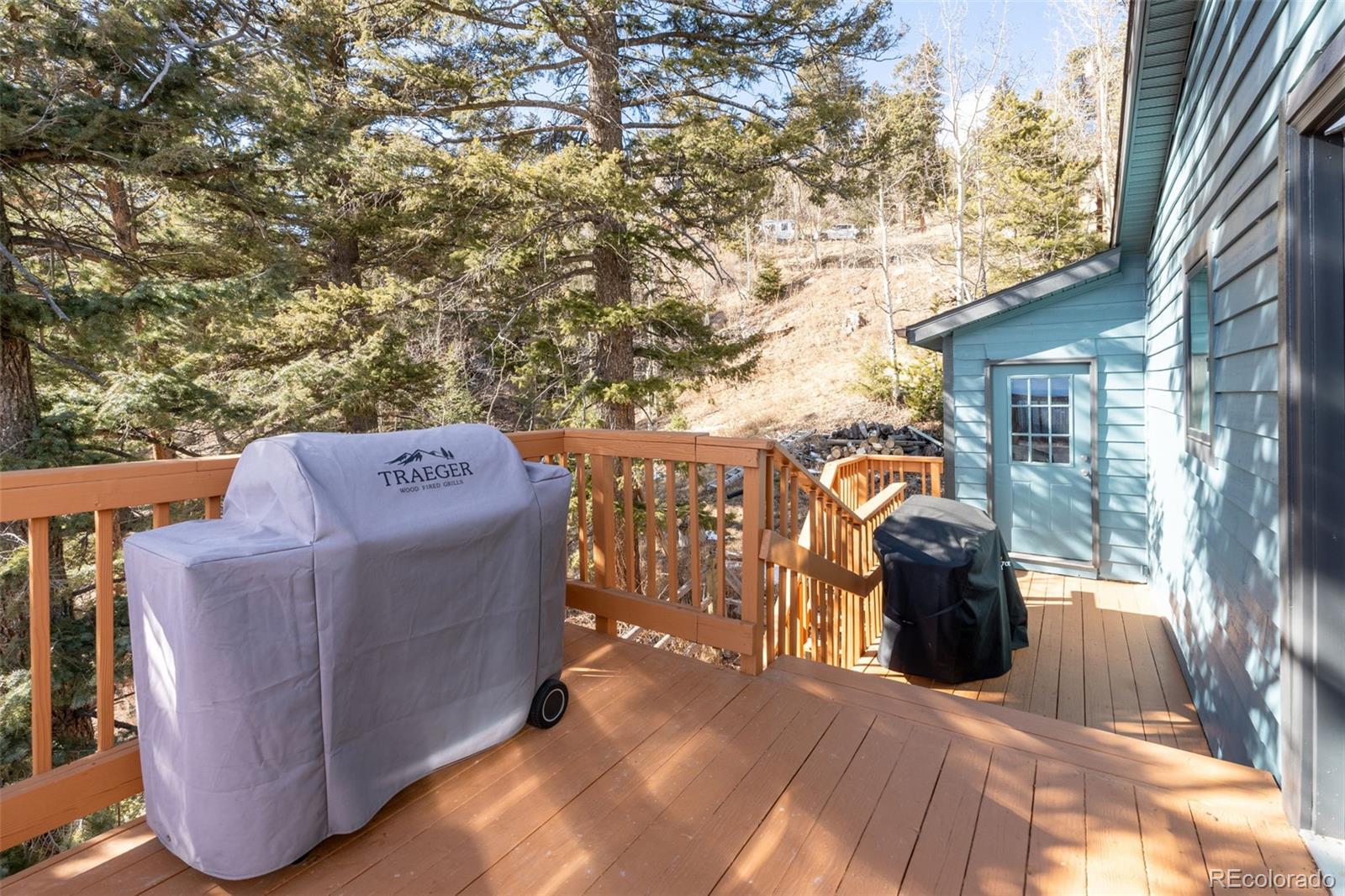 MLS Image #41 for 11608  nichols way,conifer, Colorado