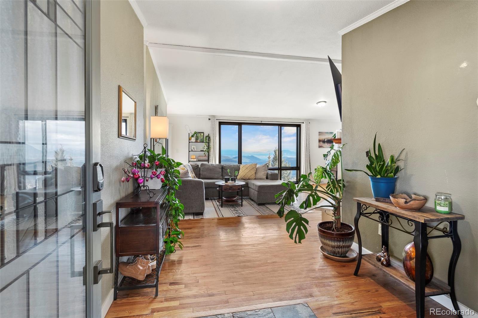 MLS Image #5 for 11608  nichols way,conifer, Colorado