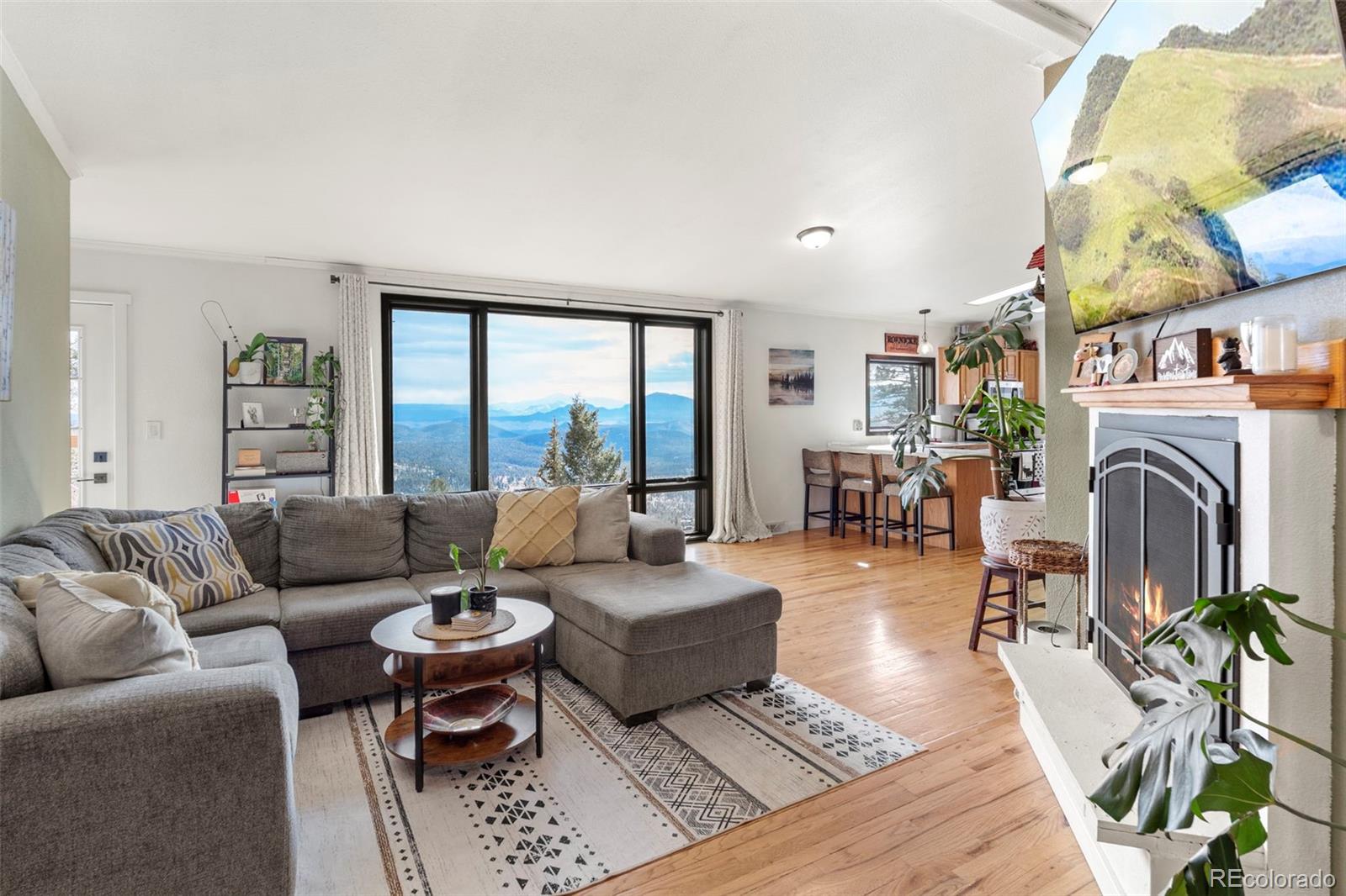 MLS Image #8 for 11608  nichols way,conifer, Colorado