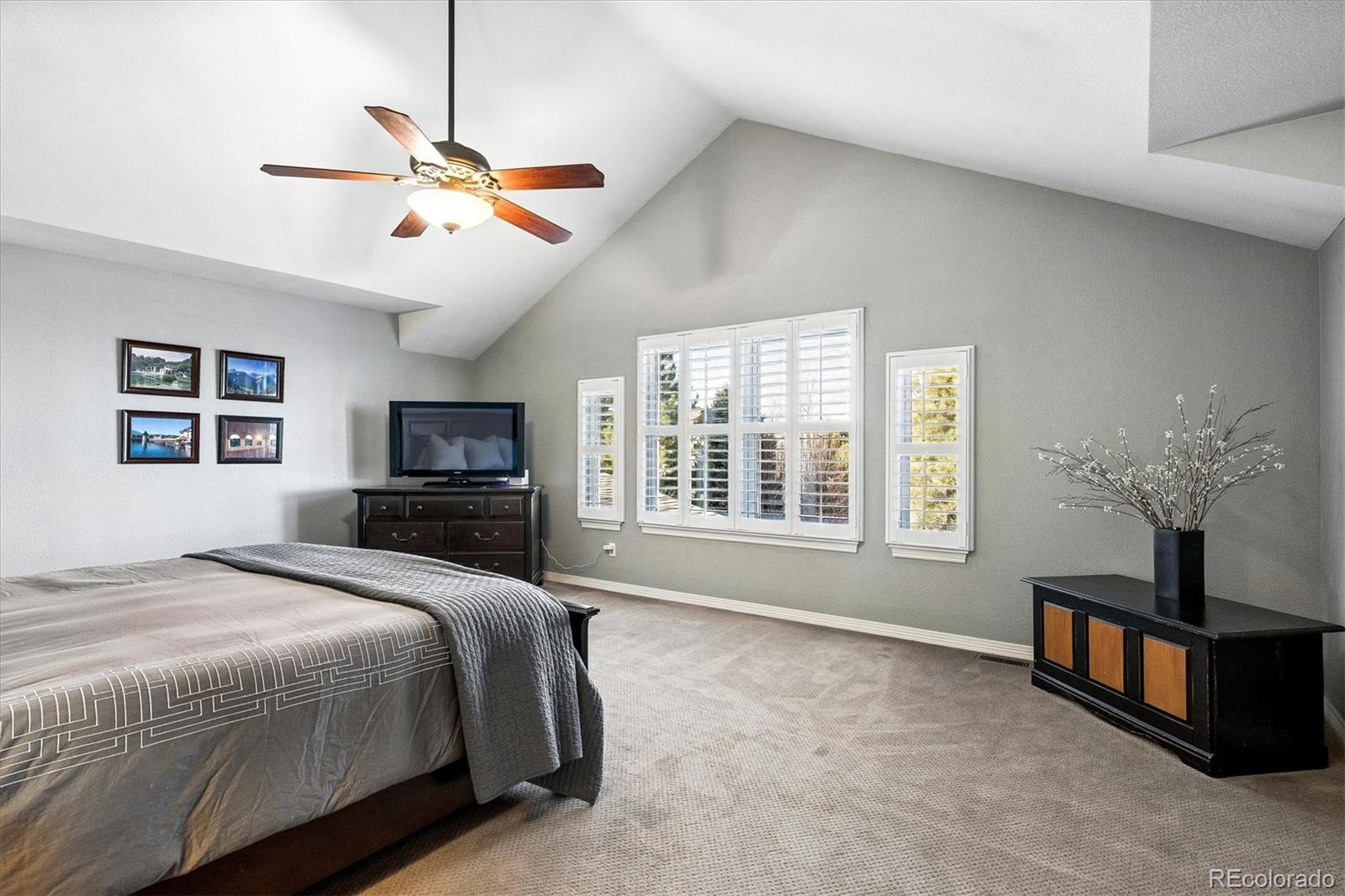 MLS Image #15 for 10633  edgemont court,highlands ranch, Colorado