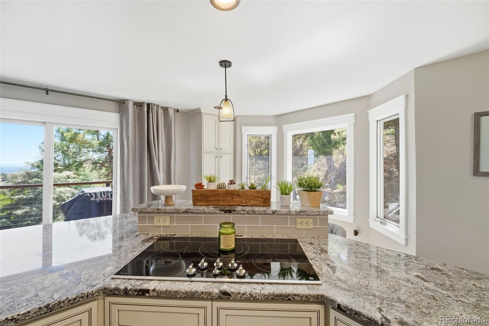 MLS Image #13 for 745  scrub oak road,manitou springs, Colorado