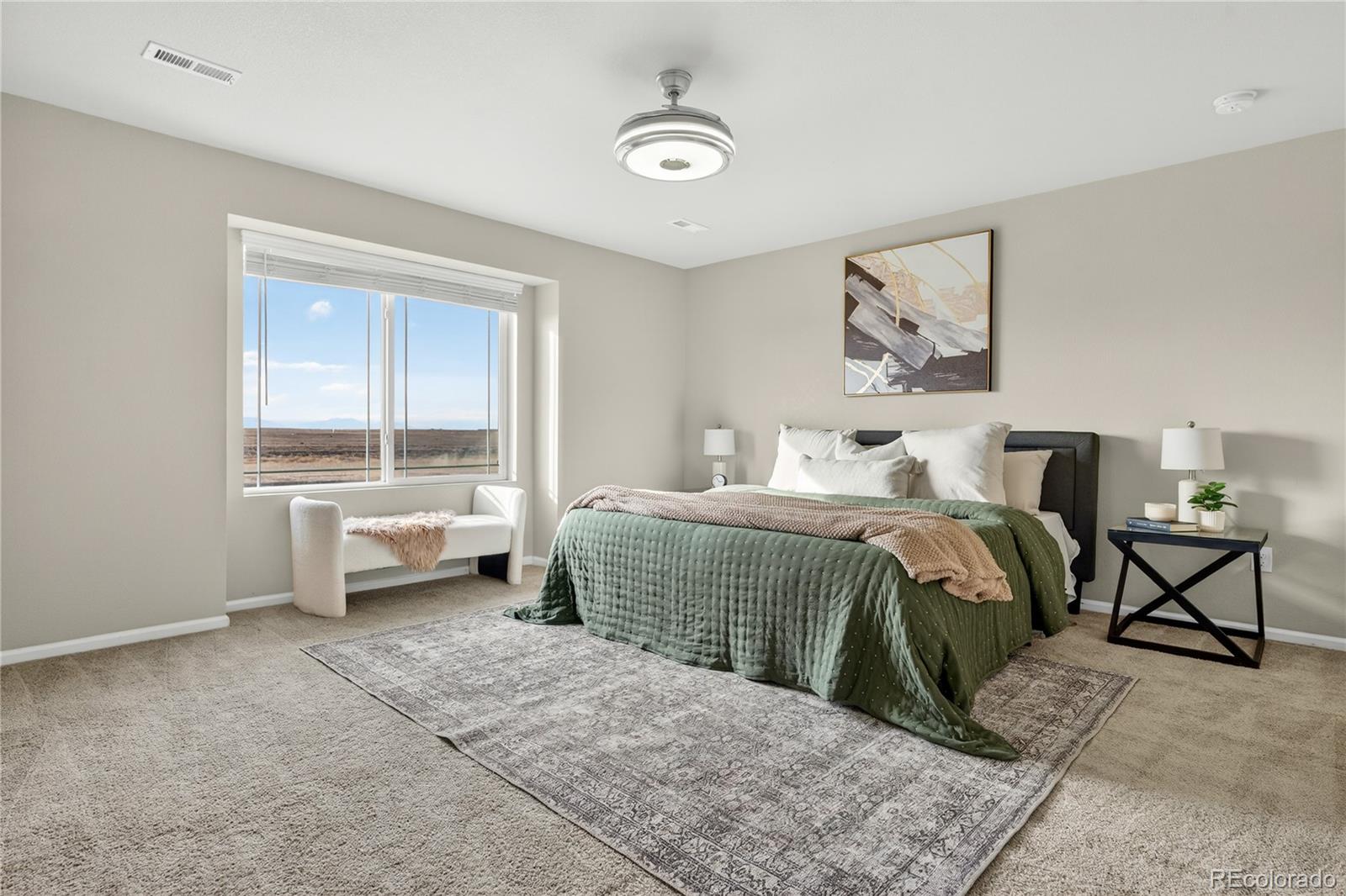 MLS Image #19 for 9203  pitkin street,commerce city, Colorado