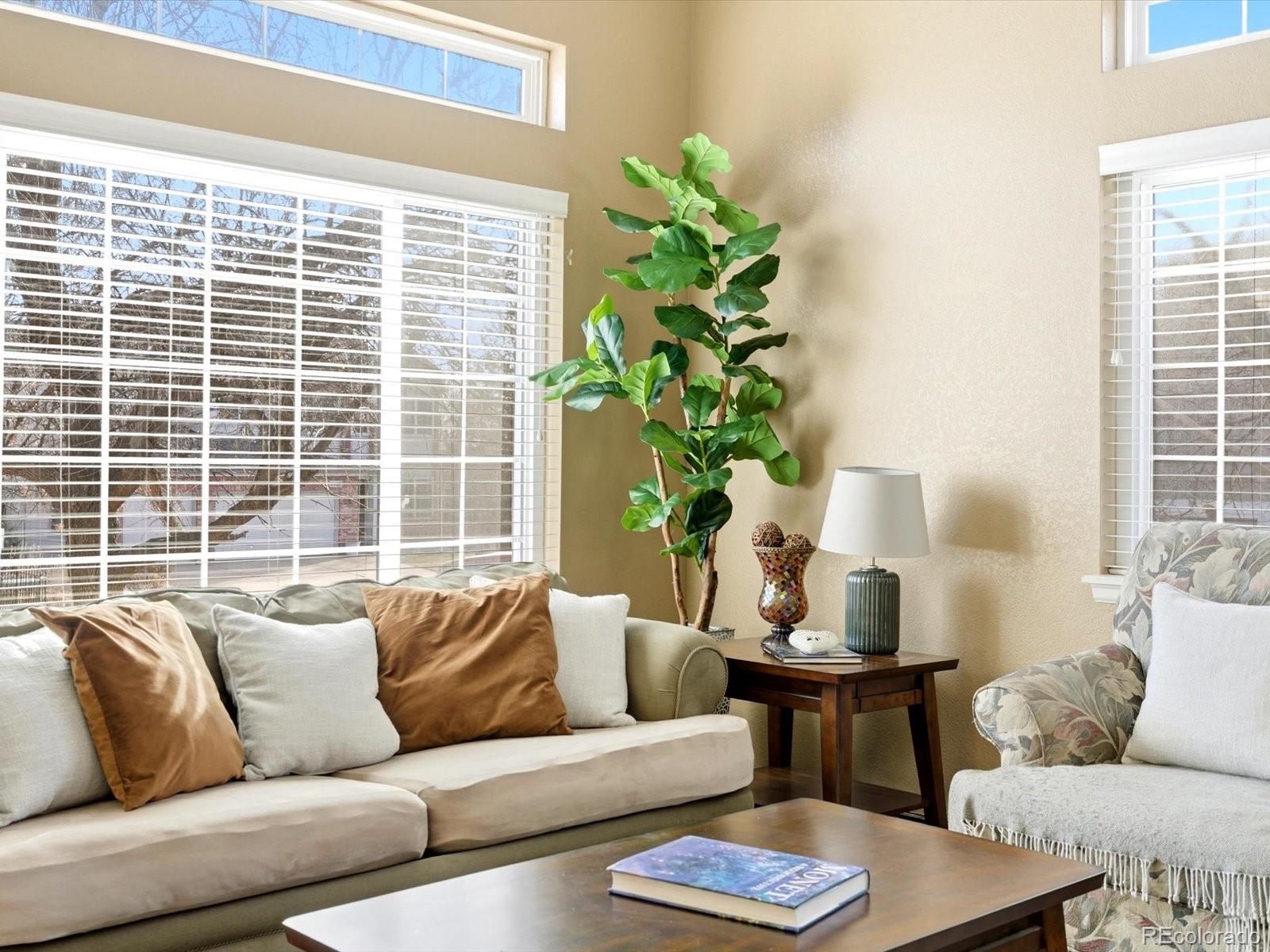 MLS Image #12 for 9345  erminedale drive,lone tree, Colorado