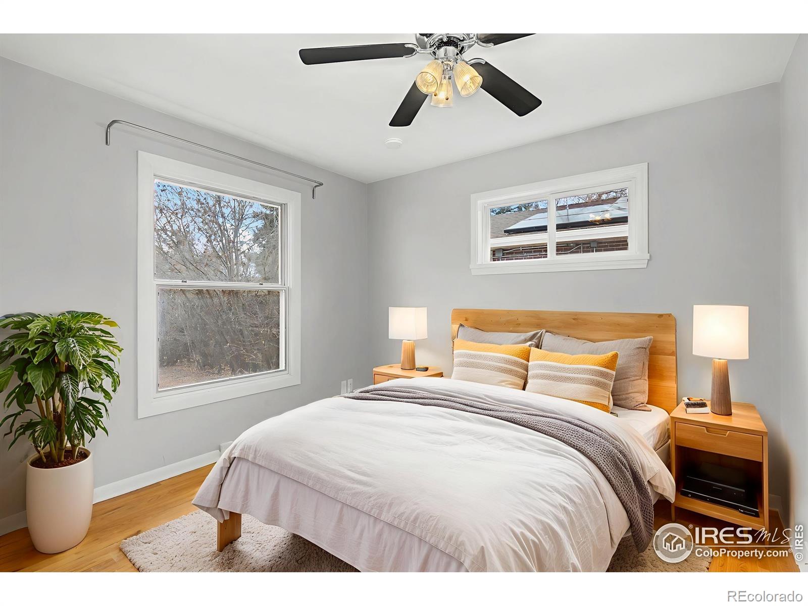 MLS Image #12 for 501  columbia road,fort collins, Colorado