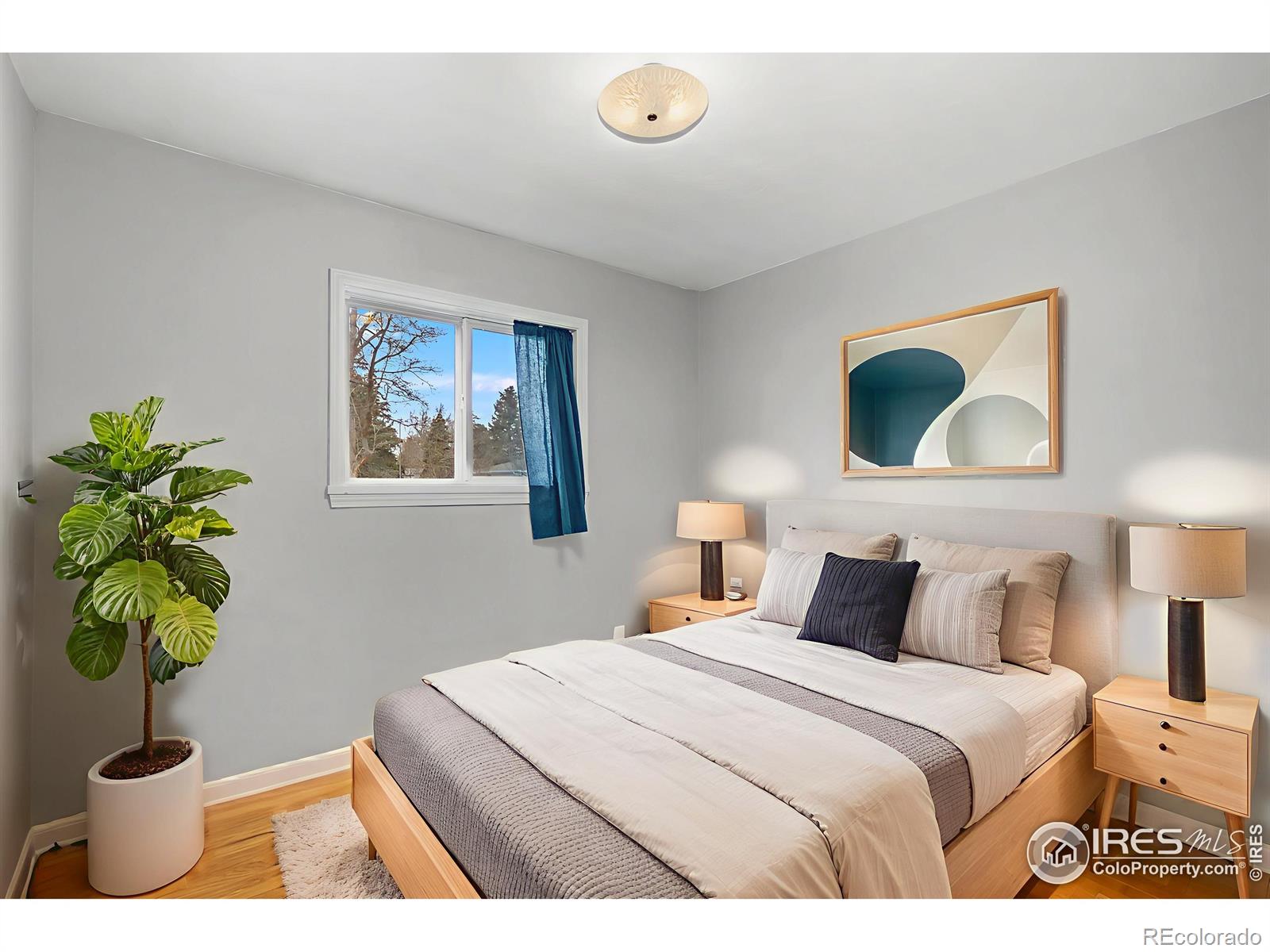 MLS Image #14 for 501  columbia road,fort collins, Colorado