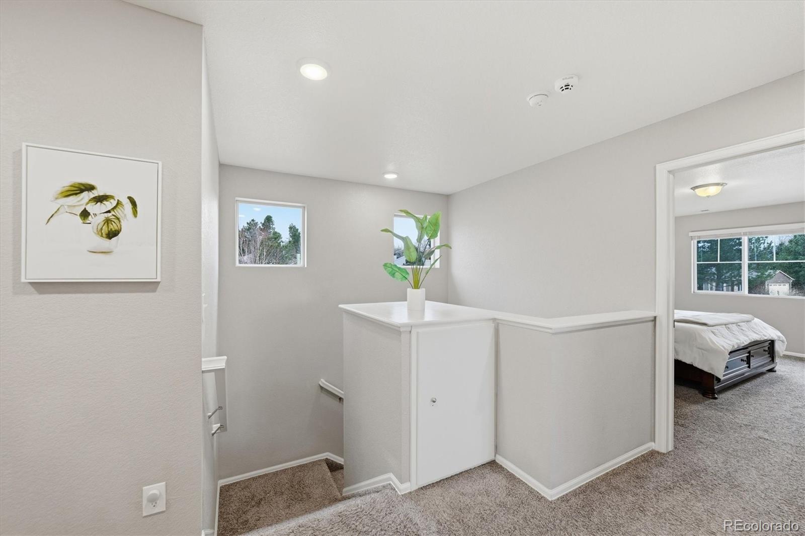 MLS Image #14 for 11677  park south lane,parker, Colorado
