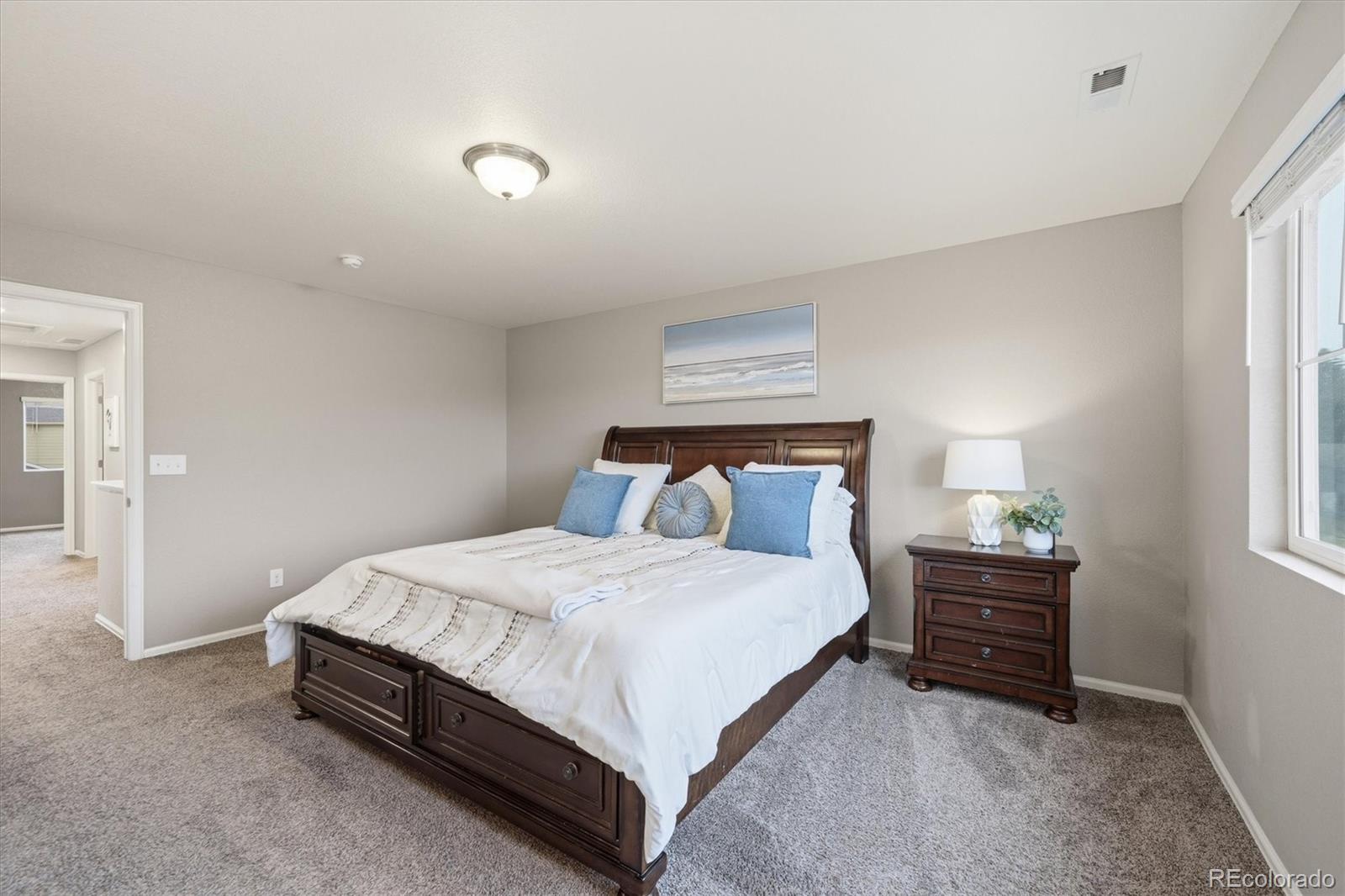 MLS Image #16 for 11677  park south lane,parker, Colorado