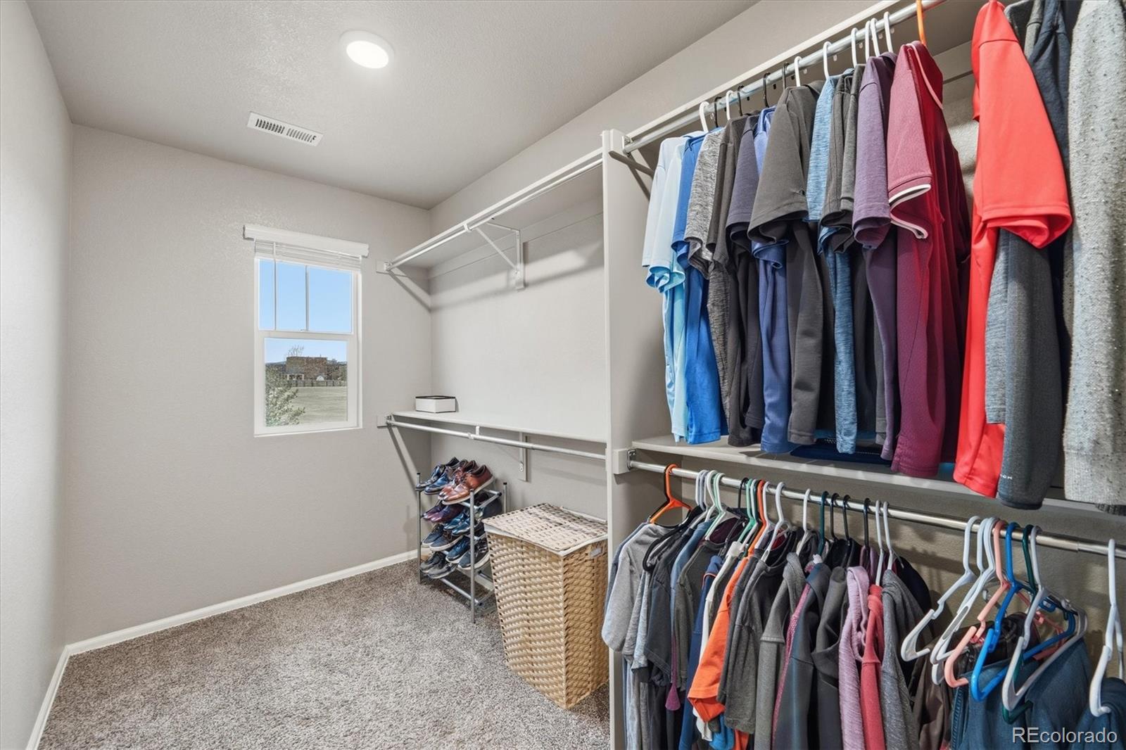 MLS Image #18 for 11677  park south lane,parker, Colorado