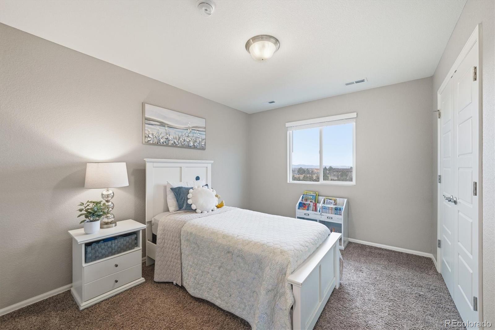 MLS Image #19 for 11677  park south lane,parker, Colorado