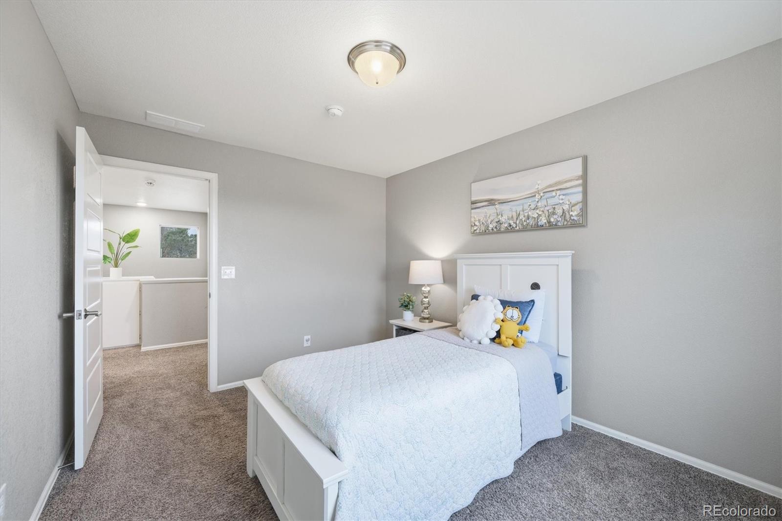 MLS Image #20 for 11677  park south lane,parker, Colorado
