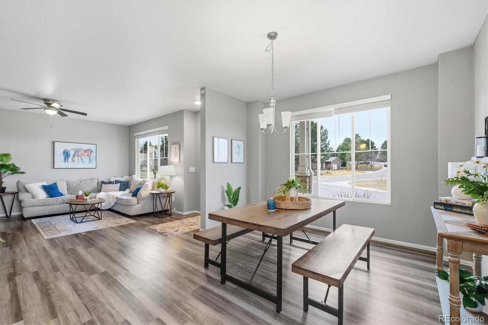 MLS Image #8 for 11677  park south lane,parker, Colorado