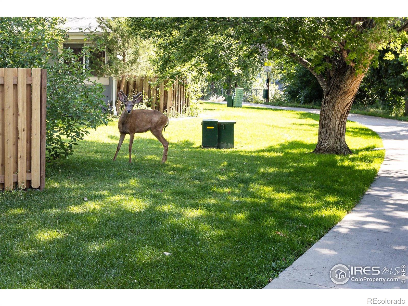 MLS Image #25 for 1180  monroe drive,boulder, Colorado