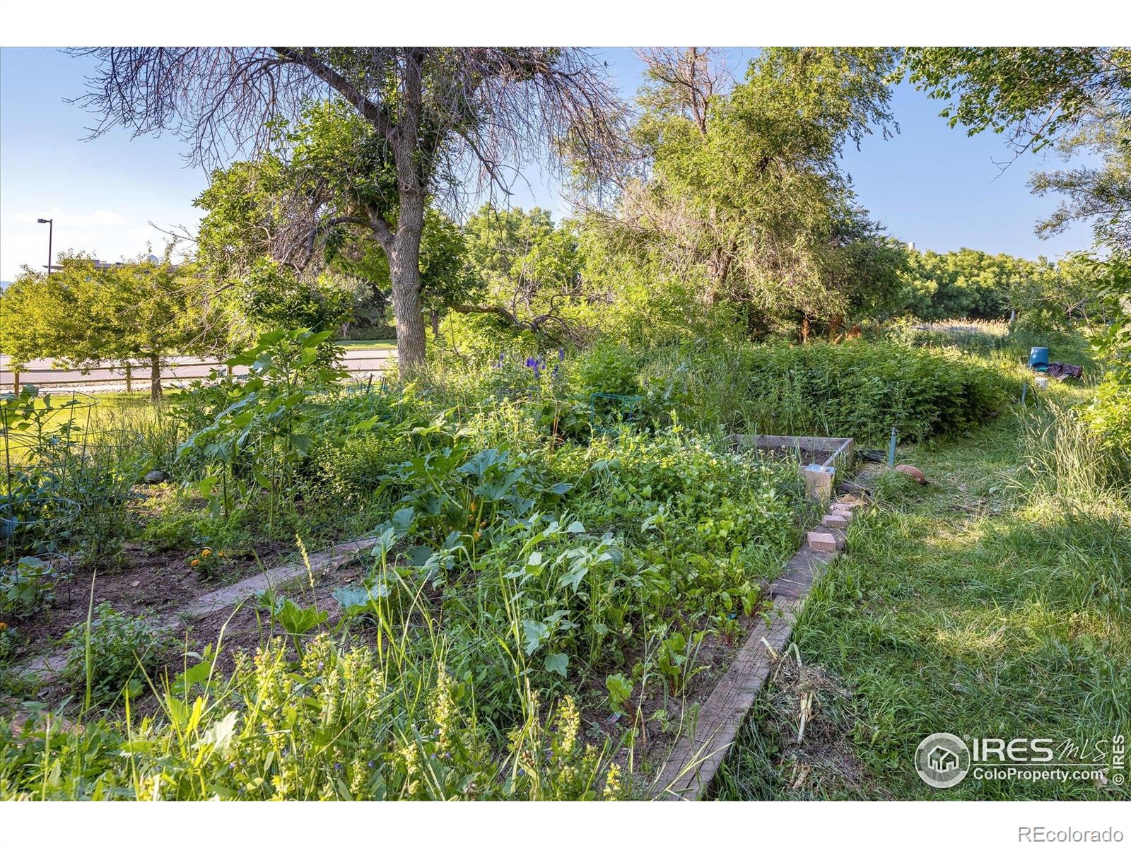 MLS Image #26 for 1180  monroe drive,boulder, Colorado