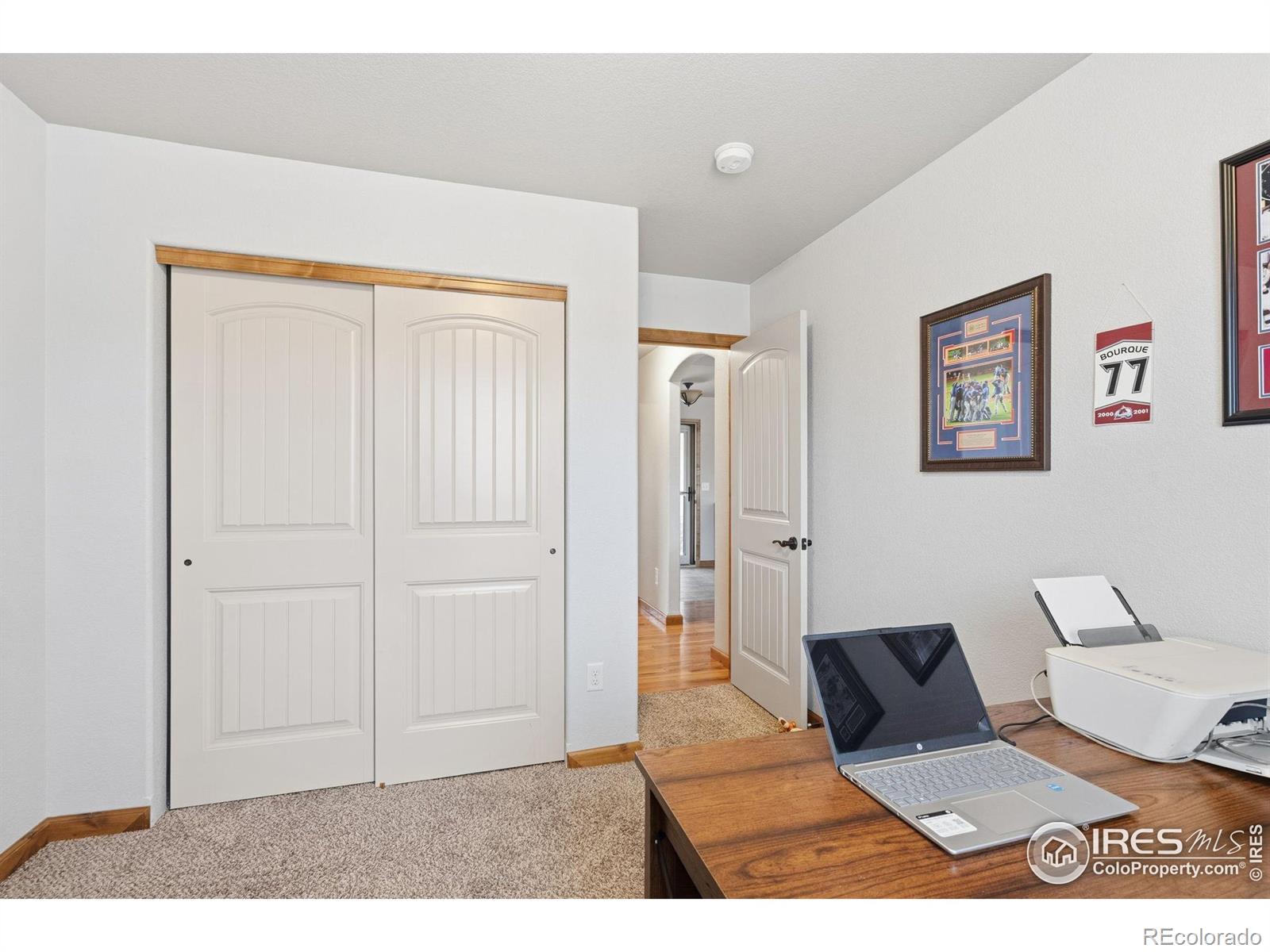 MLS Image #19 for 2202  birdie drive,milliken, Colorado