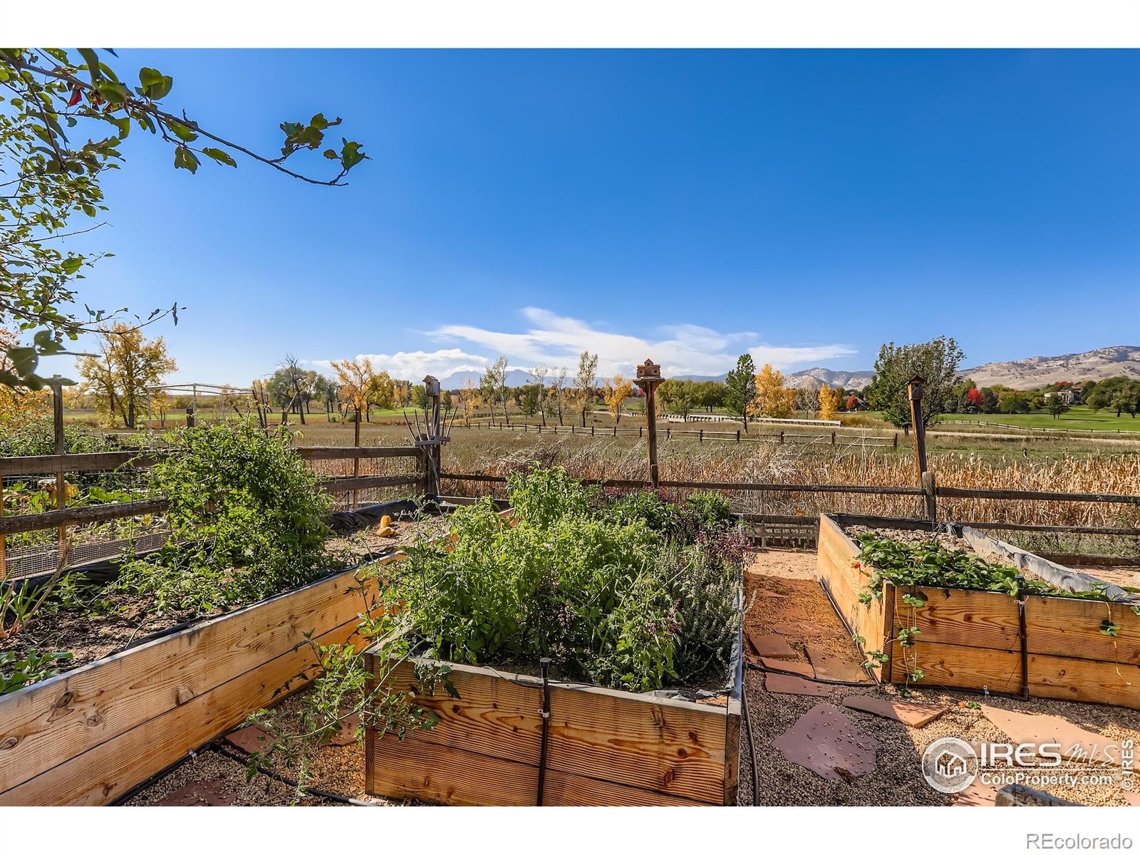 MLS Image #30 for 4450  hogan court,longmont, Colorado