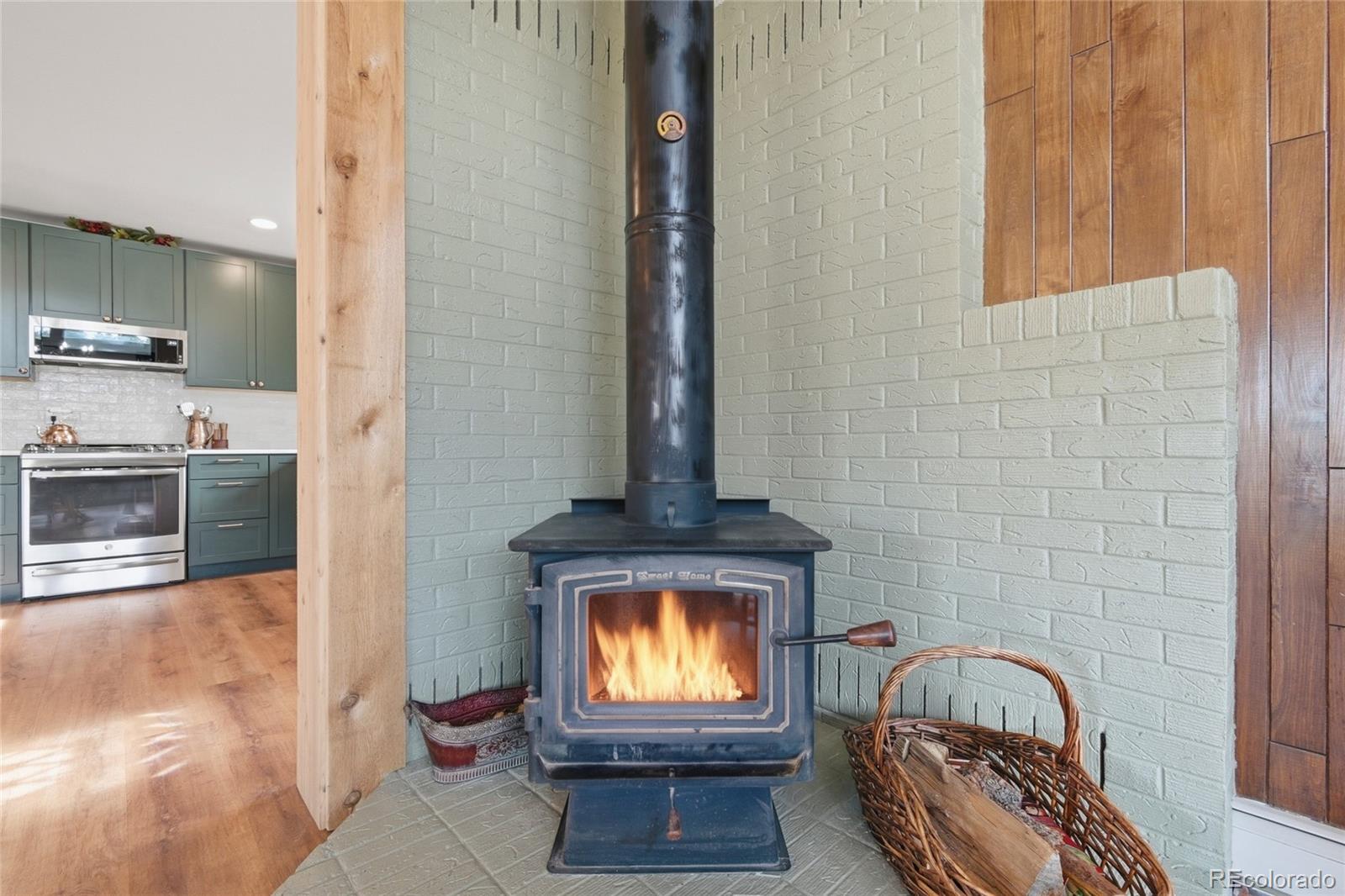 MLS Image #17 for 24597  stanley park road,evergreen, Colorado
