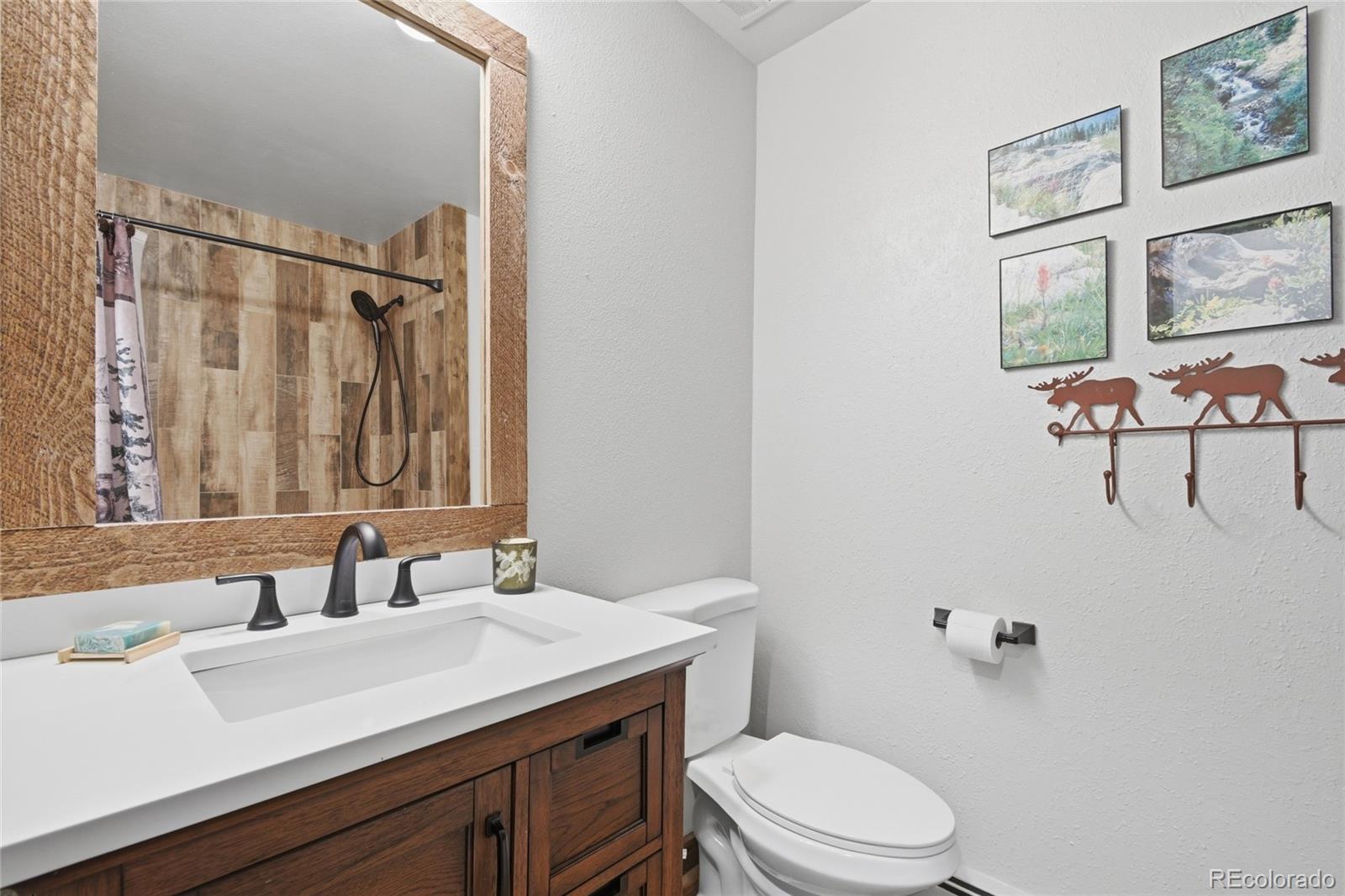 MLS Image #23 for 24597  stanley park road,evergreen, Colorado