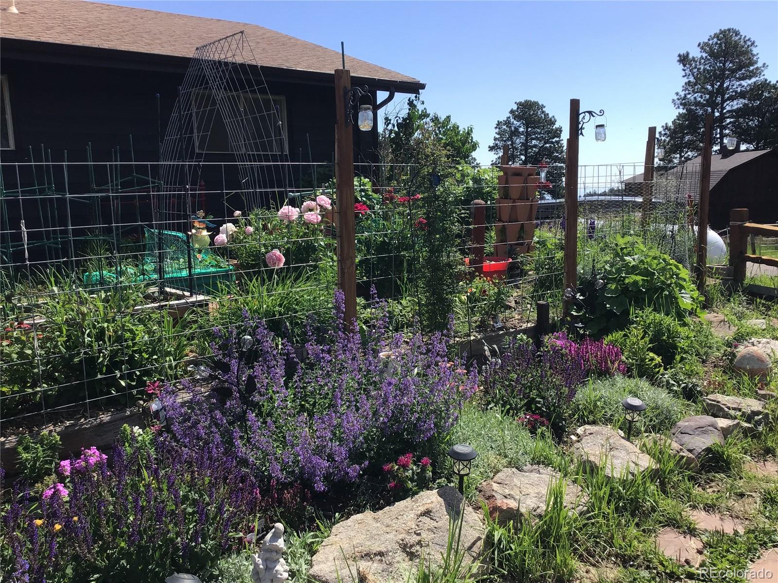 MLS Image #6 for 24597  stanley park road,evergreen, Colorado
