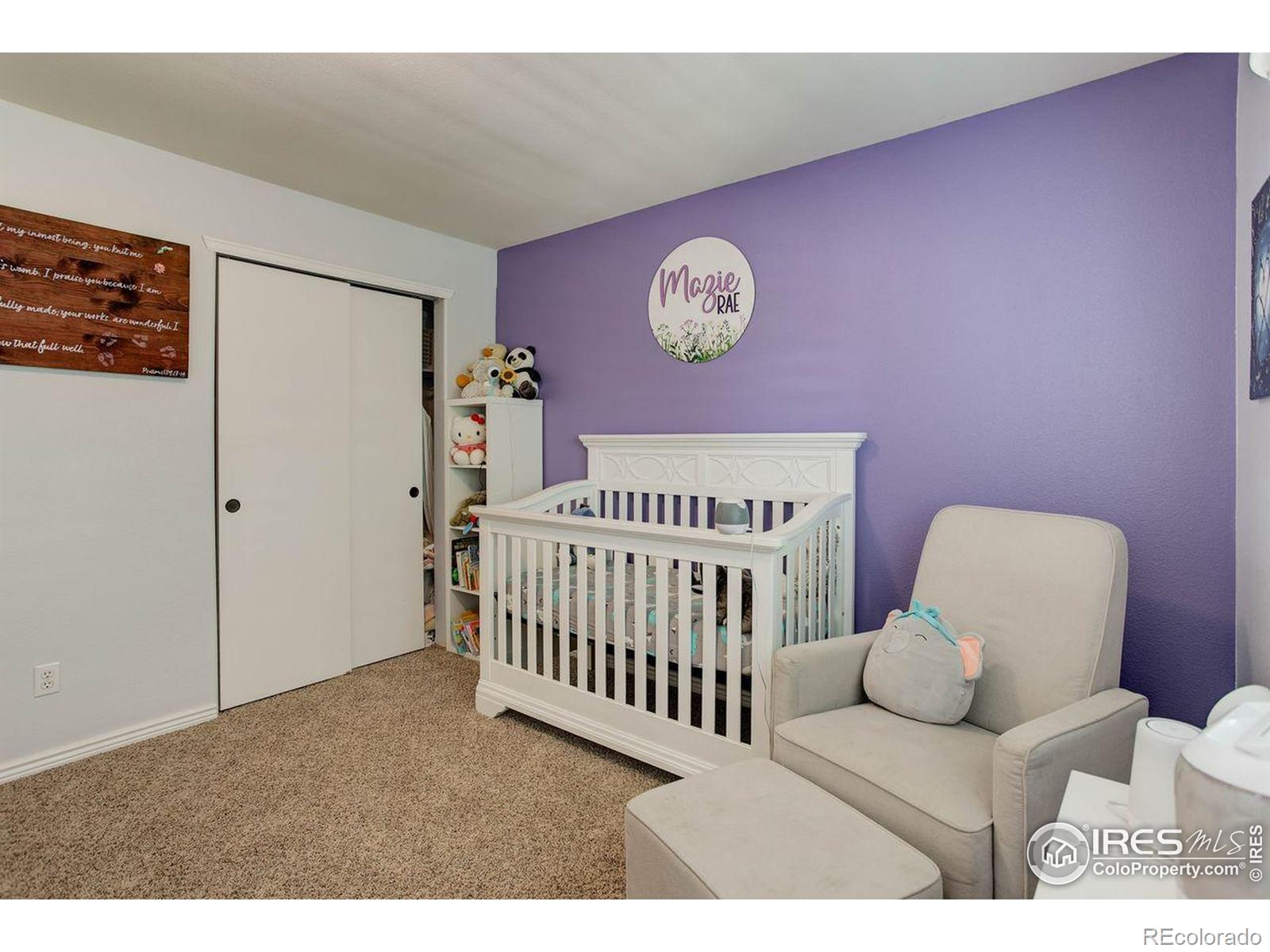 MLS Image #30 for 11535  briarwood lane,parker, Colorado