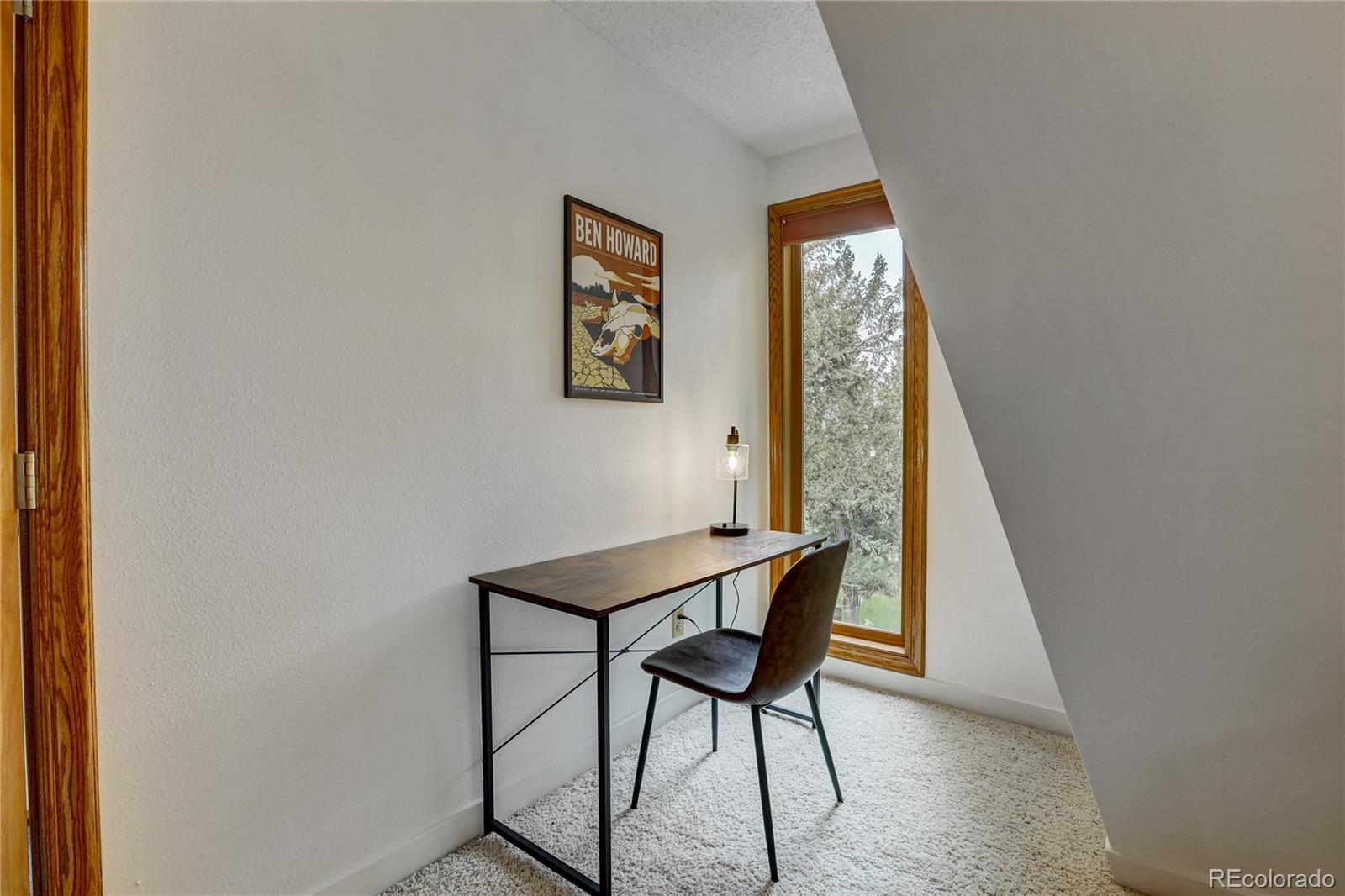 MLS Image #17 for 22354  park lane,morrison, Colorado