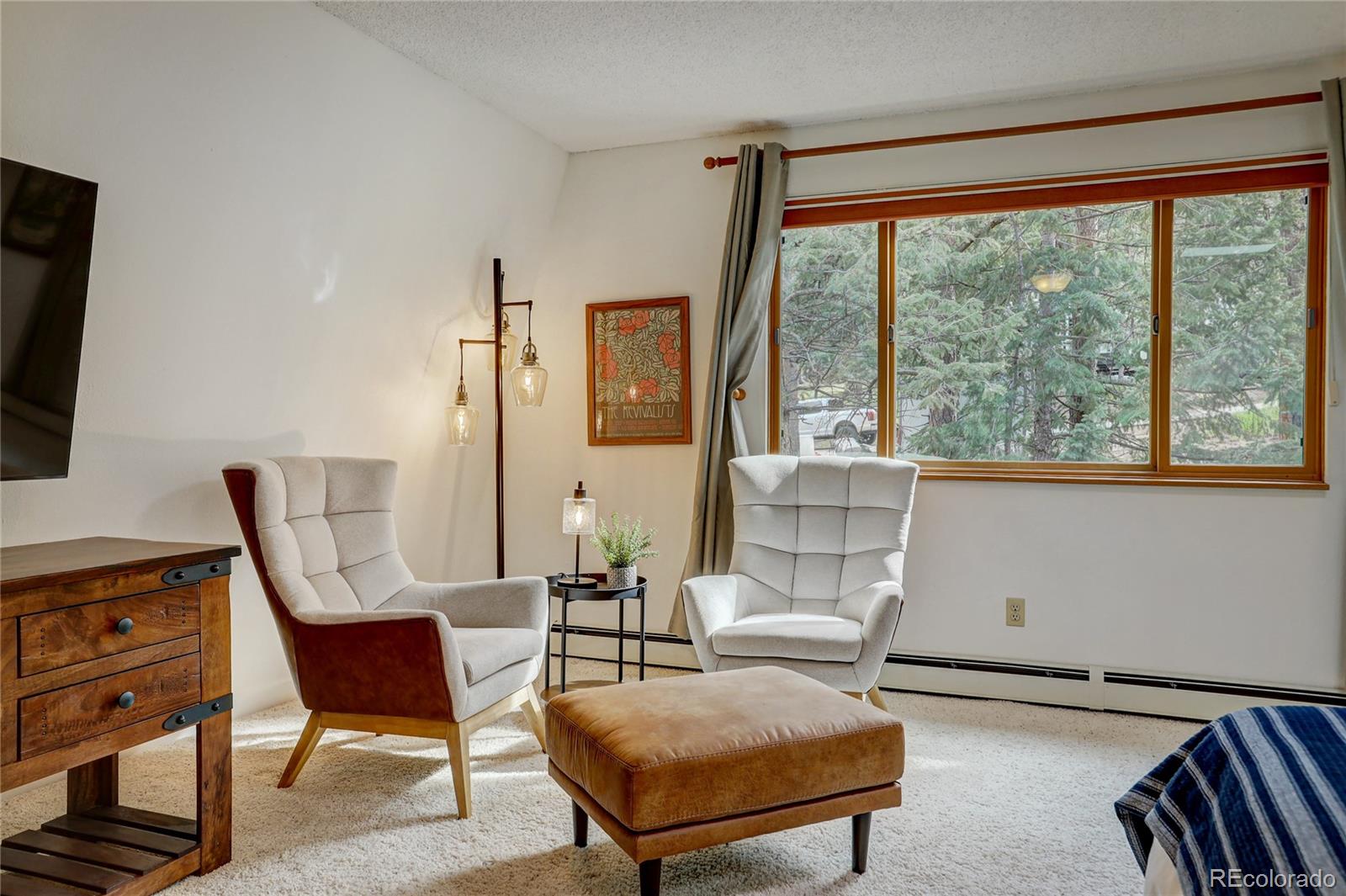 MLS Image #18 for 22354  park lane,morrison, Colorado
