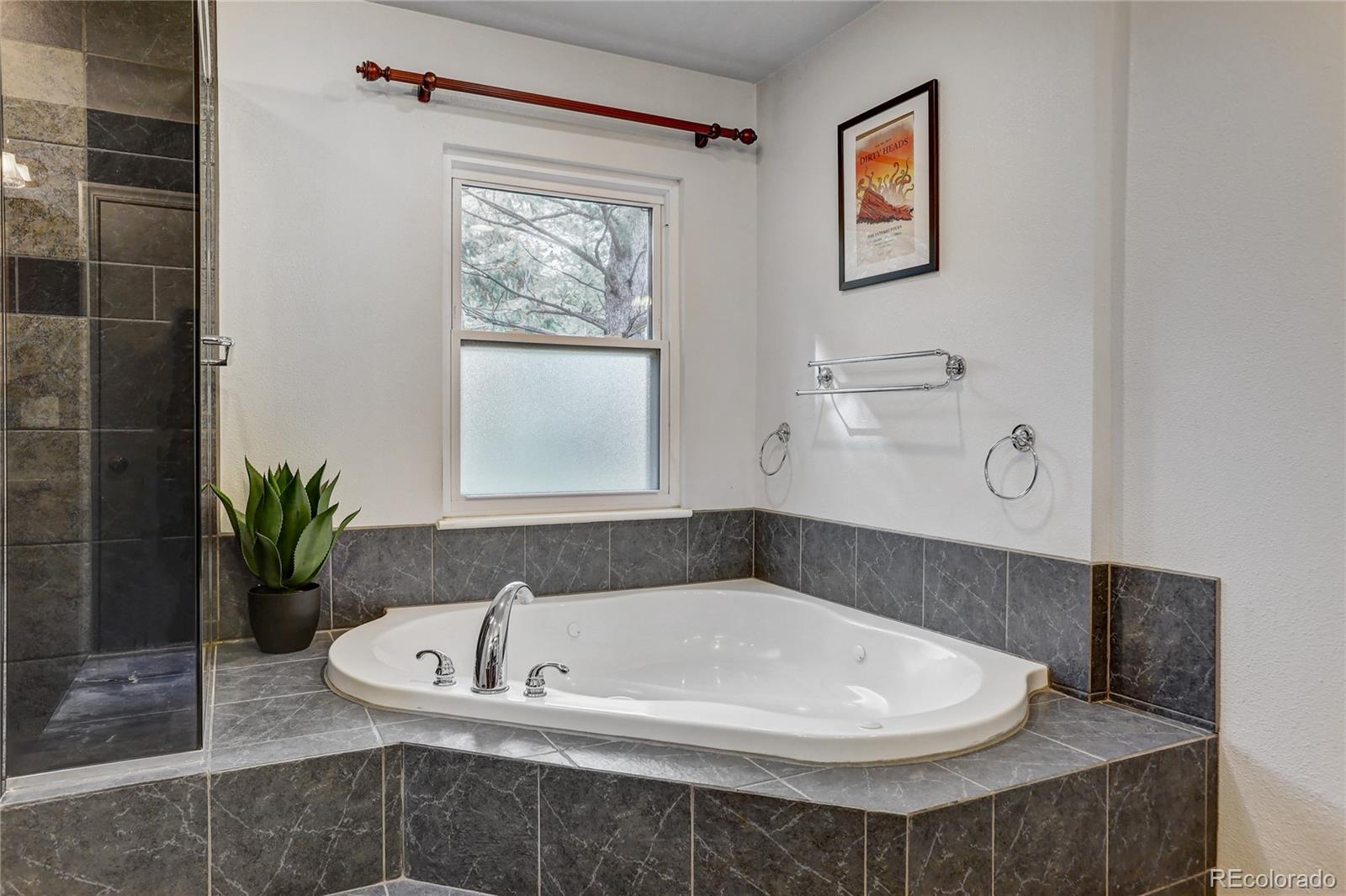 MLS Image #22 for 22354  park lane,morrison, Colorado