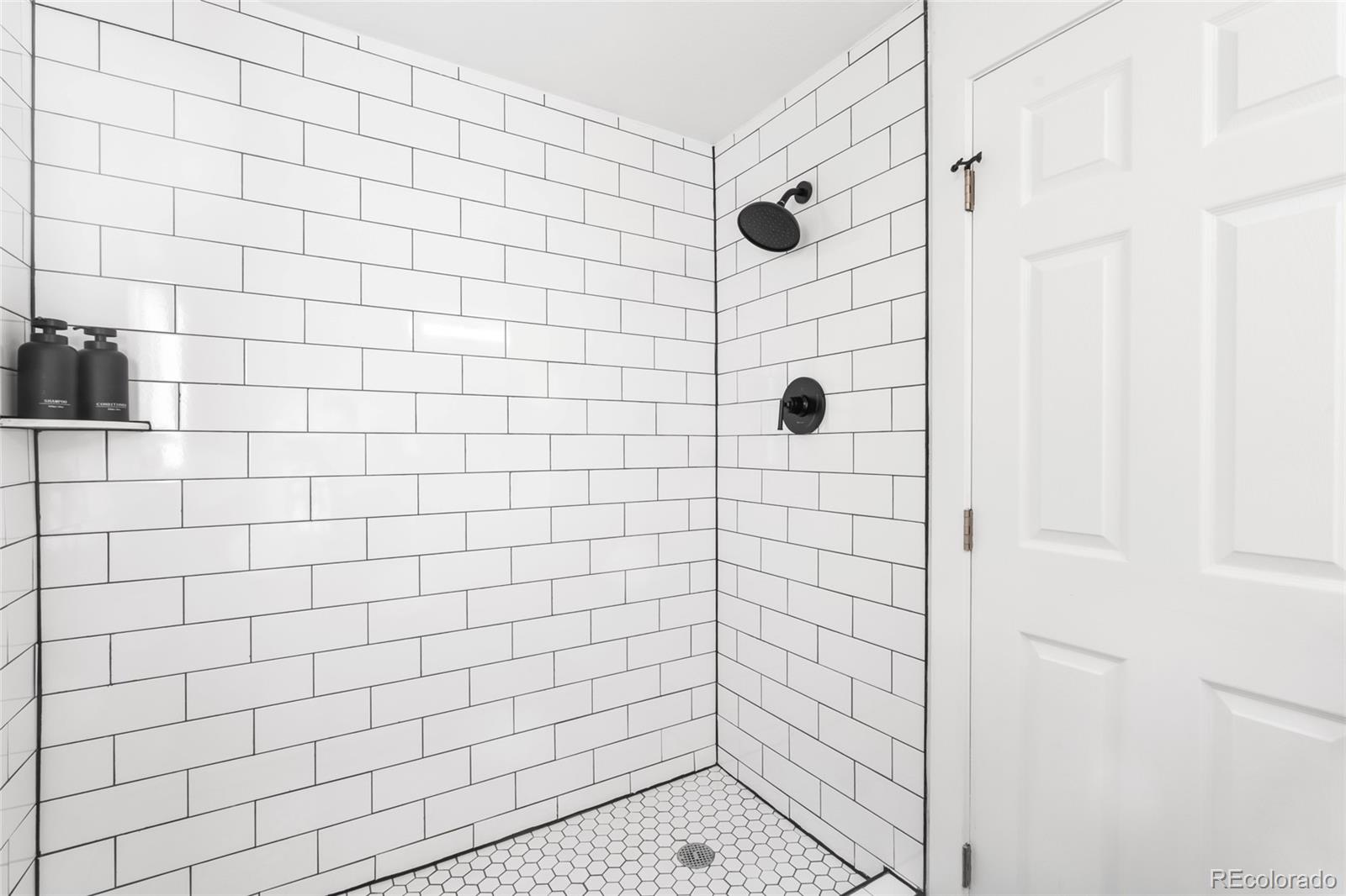 MLS Image #17 for 820  explorador calle ,denver, Colorado
