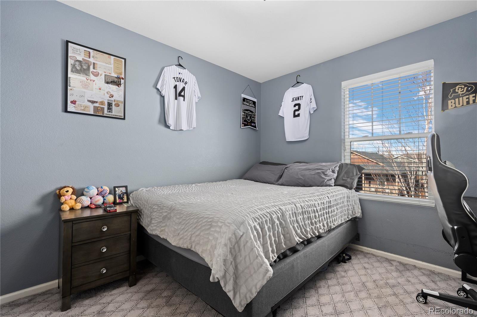 MLS Image #34 for 13826 w layton circle,morrison, Colorado