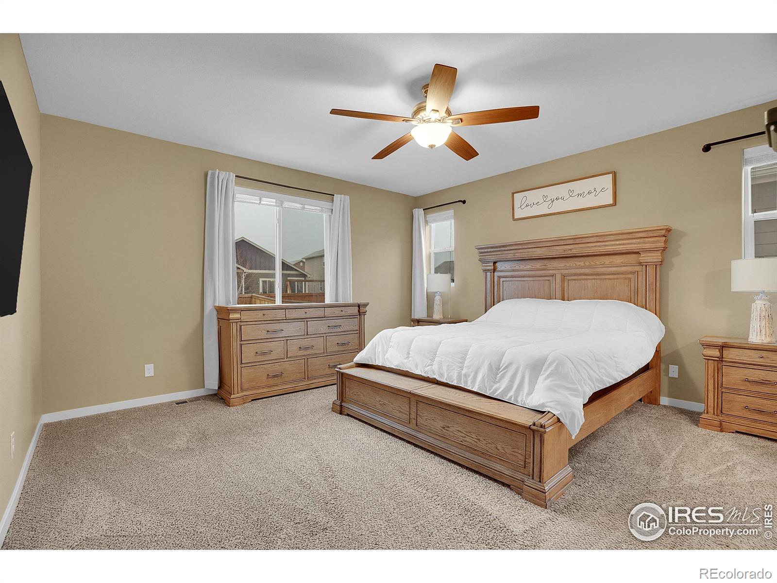 MLS Image #20 for 1883  vista plaza street,severance, Colorado