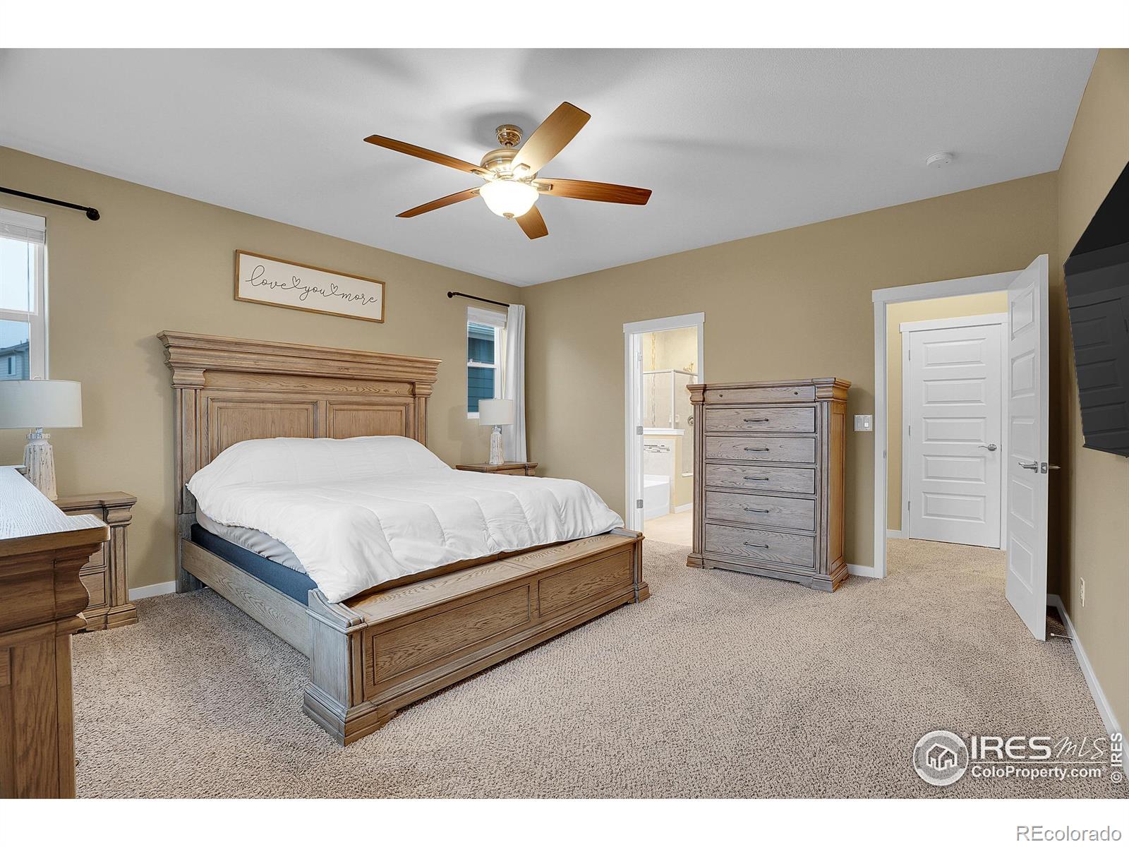 MLS Image #21 for 1883  vista plaza street,severance, Colorado