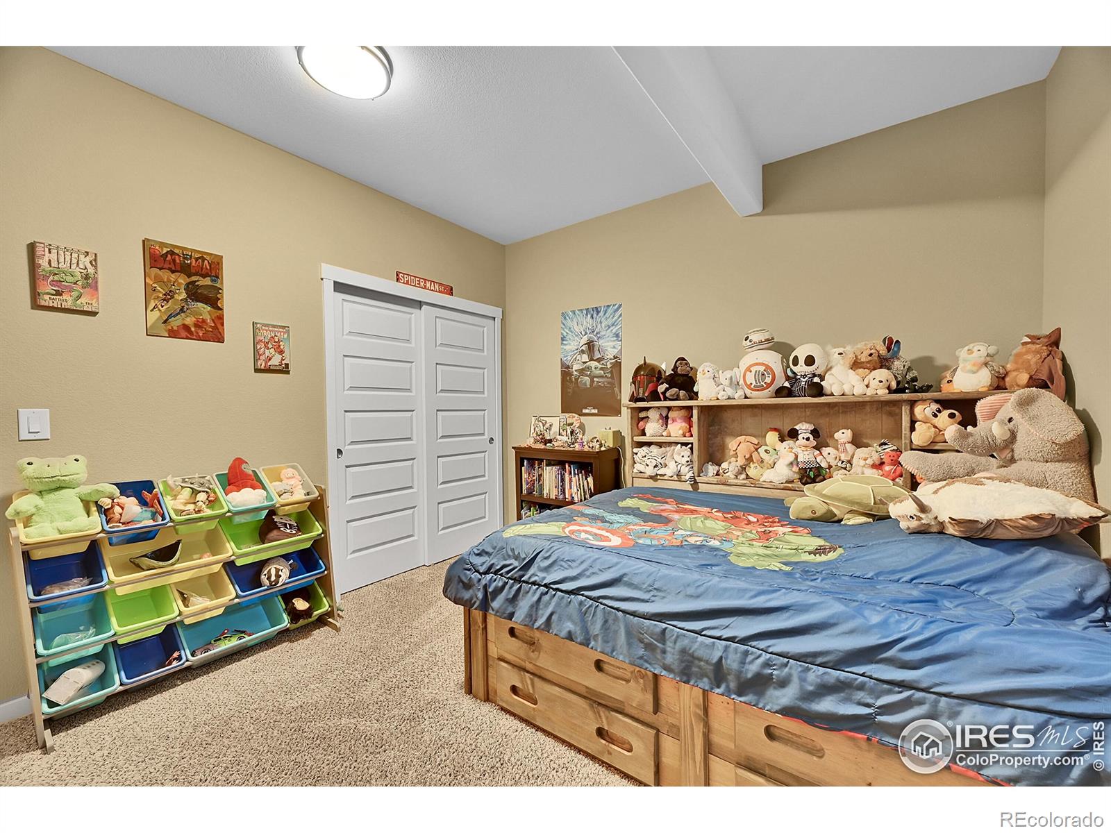 MLS Image #37 for 1883  vista plaza street,severance, Colorado
