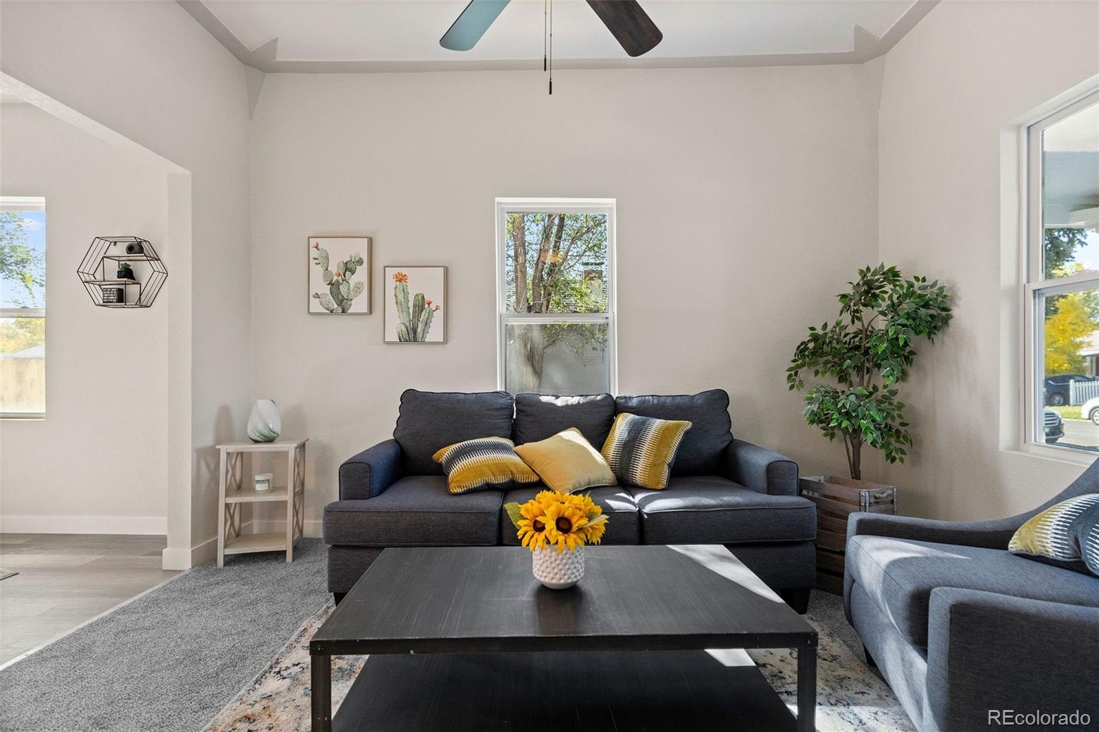 MLS Image #11 for 146  stuart street,denver, Colorado
