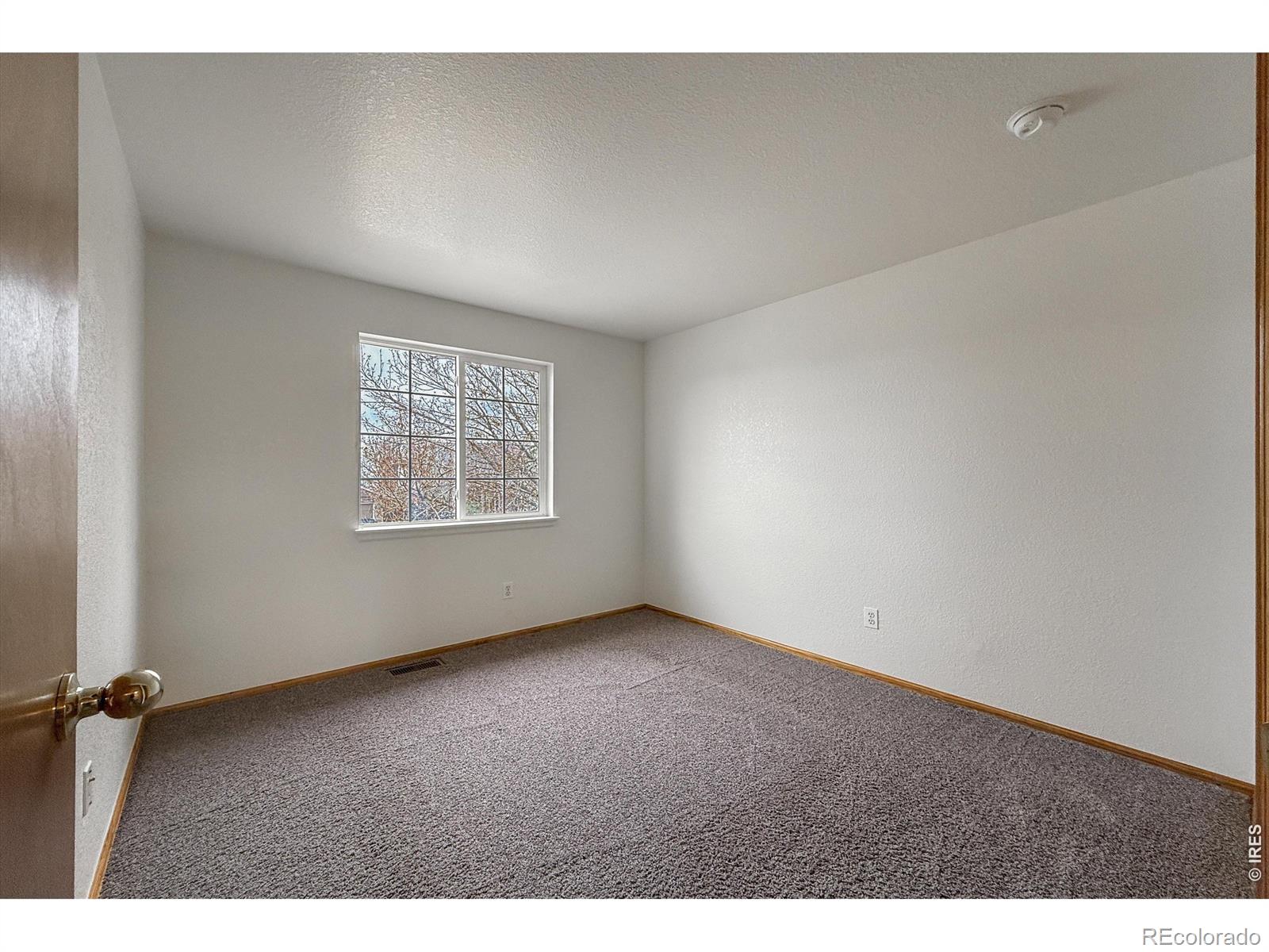 MLS Image #29 for 5442  fox run boulevard,longmont, Colorado