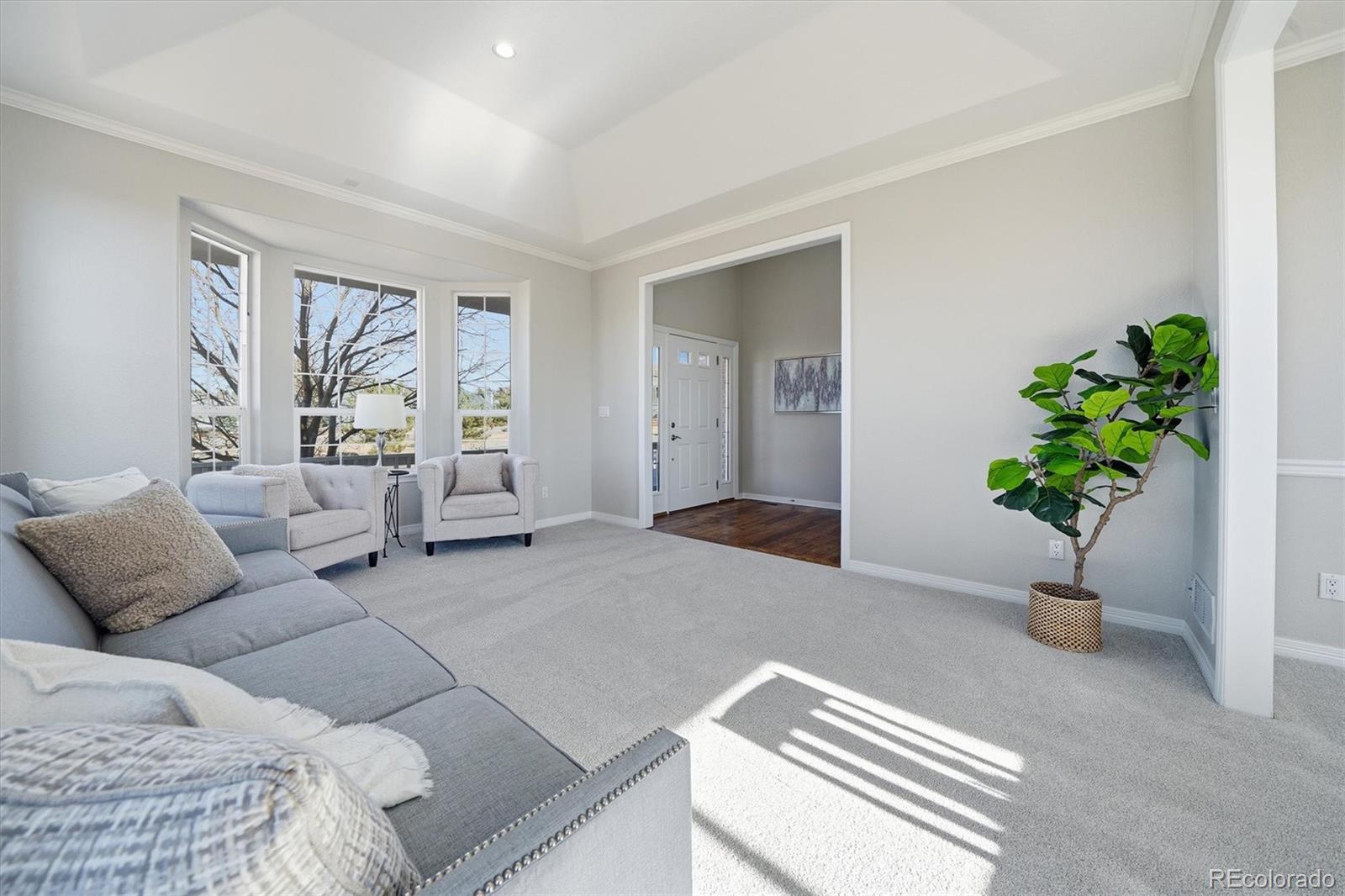 MLS Image #6 for 458  crosshaven place,castle rock, Colorado