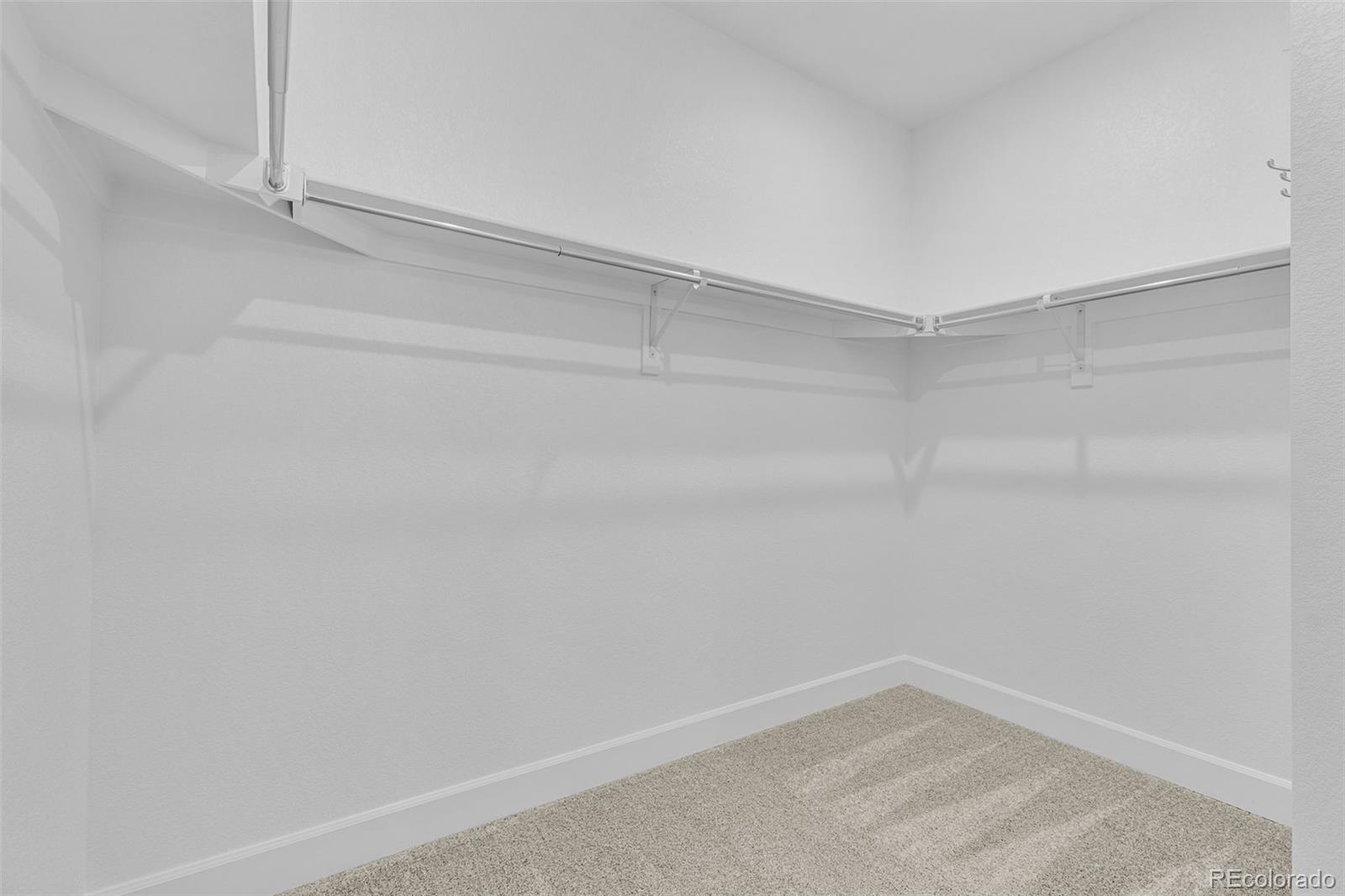 MLS Image #31 for 17409  springfield drive,parker, Colorado