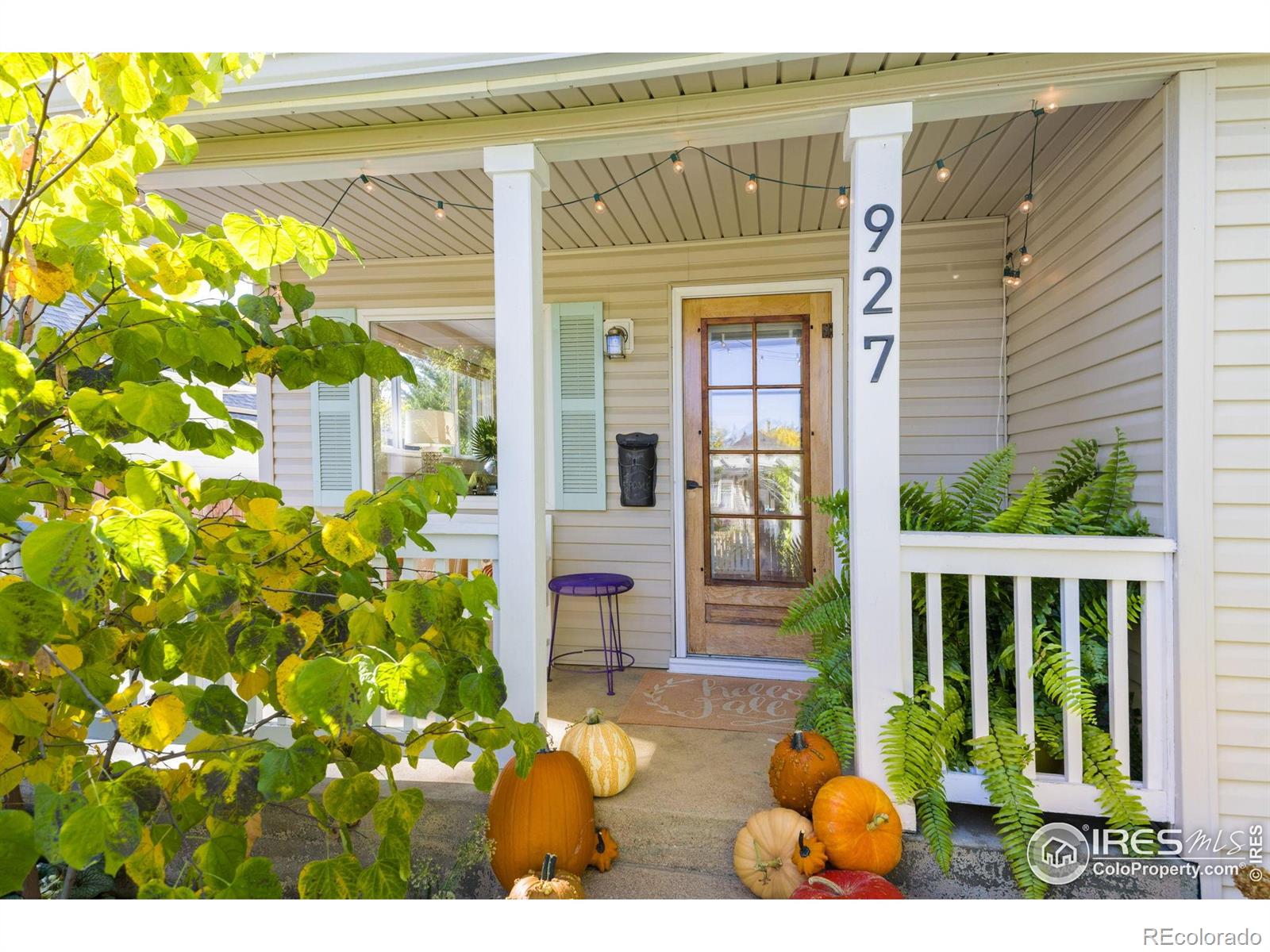 MLS Image #3 for 927  5th street,berthoud, Colorado