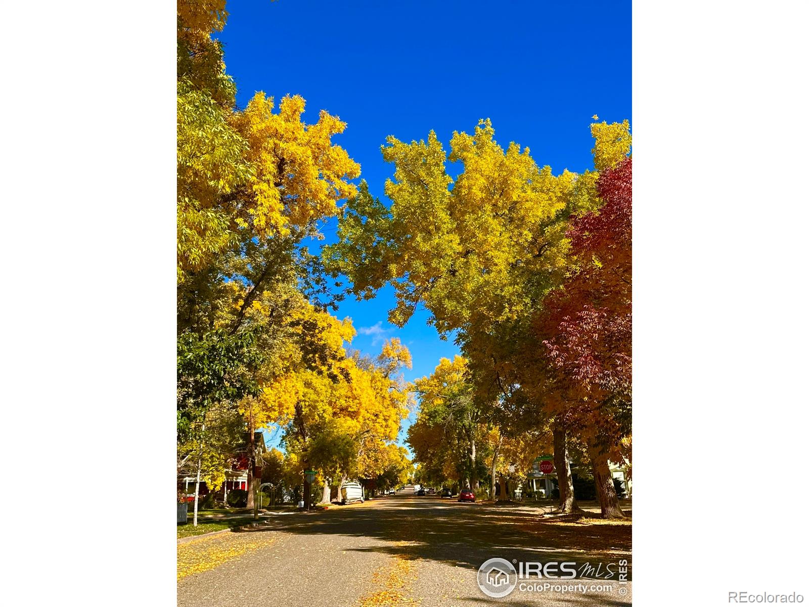 MLS Image #31 for 927  5th street,berthoud, Colorado