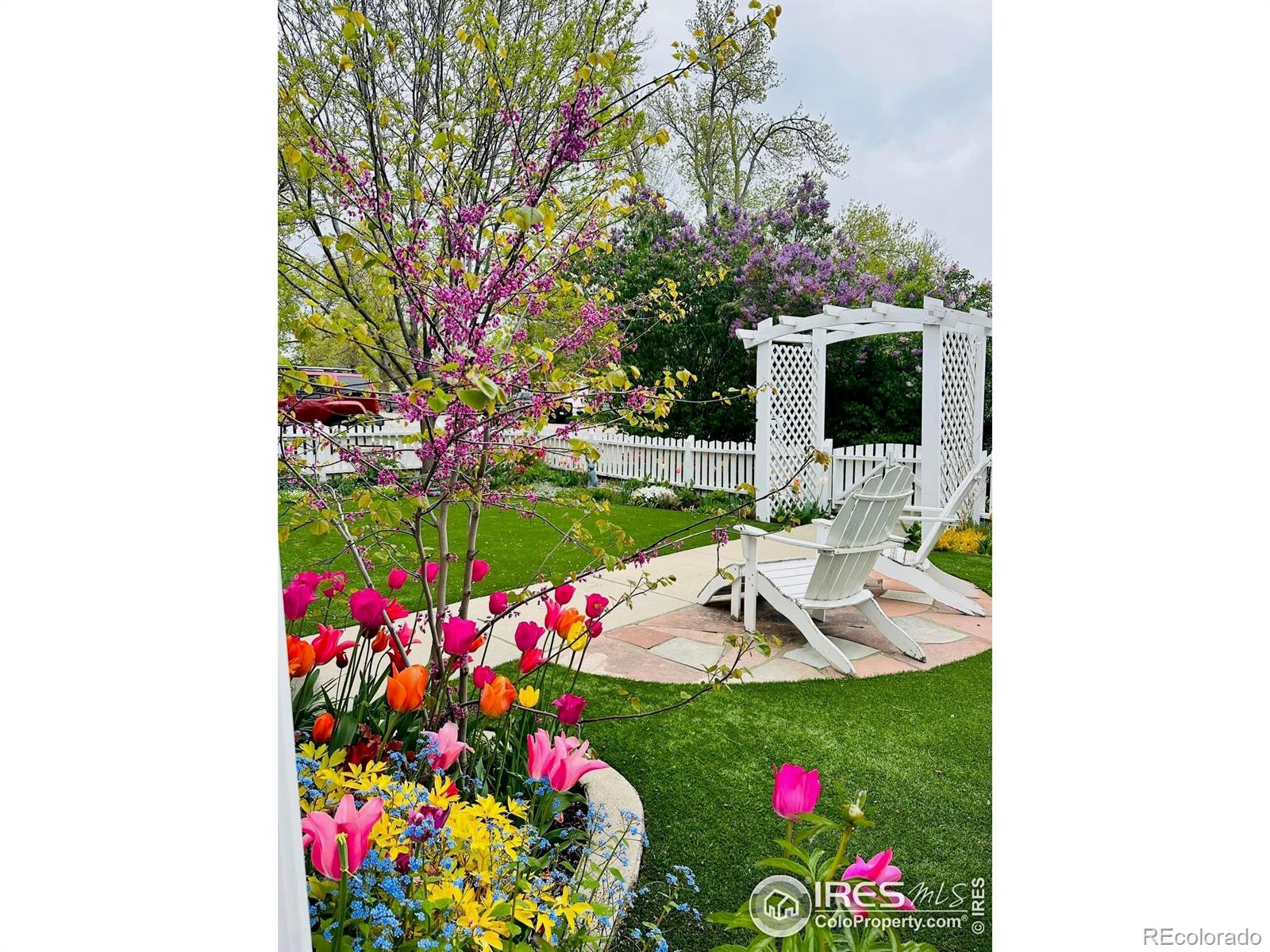 MLS Image #5 for 927  5th street,berthoud, Colorado