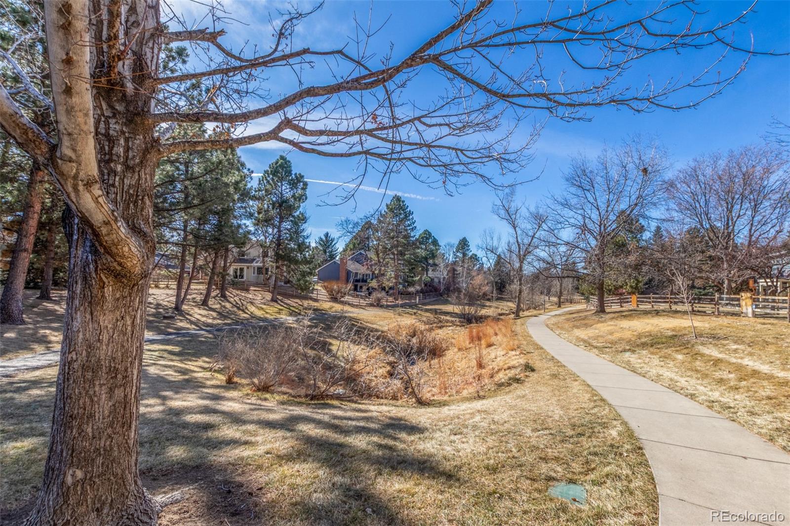 MLS Image #45 for 8691 e kettle avenue,centennial, Colorado