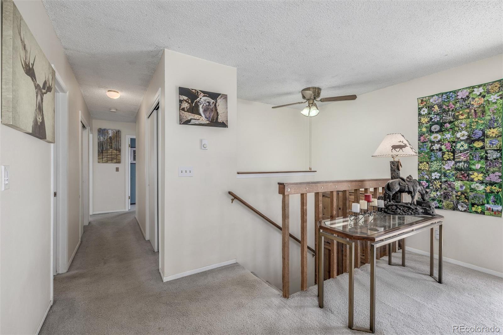 MLS Image #12 for 9629  fallen rock road,conifer, Colorado