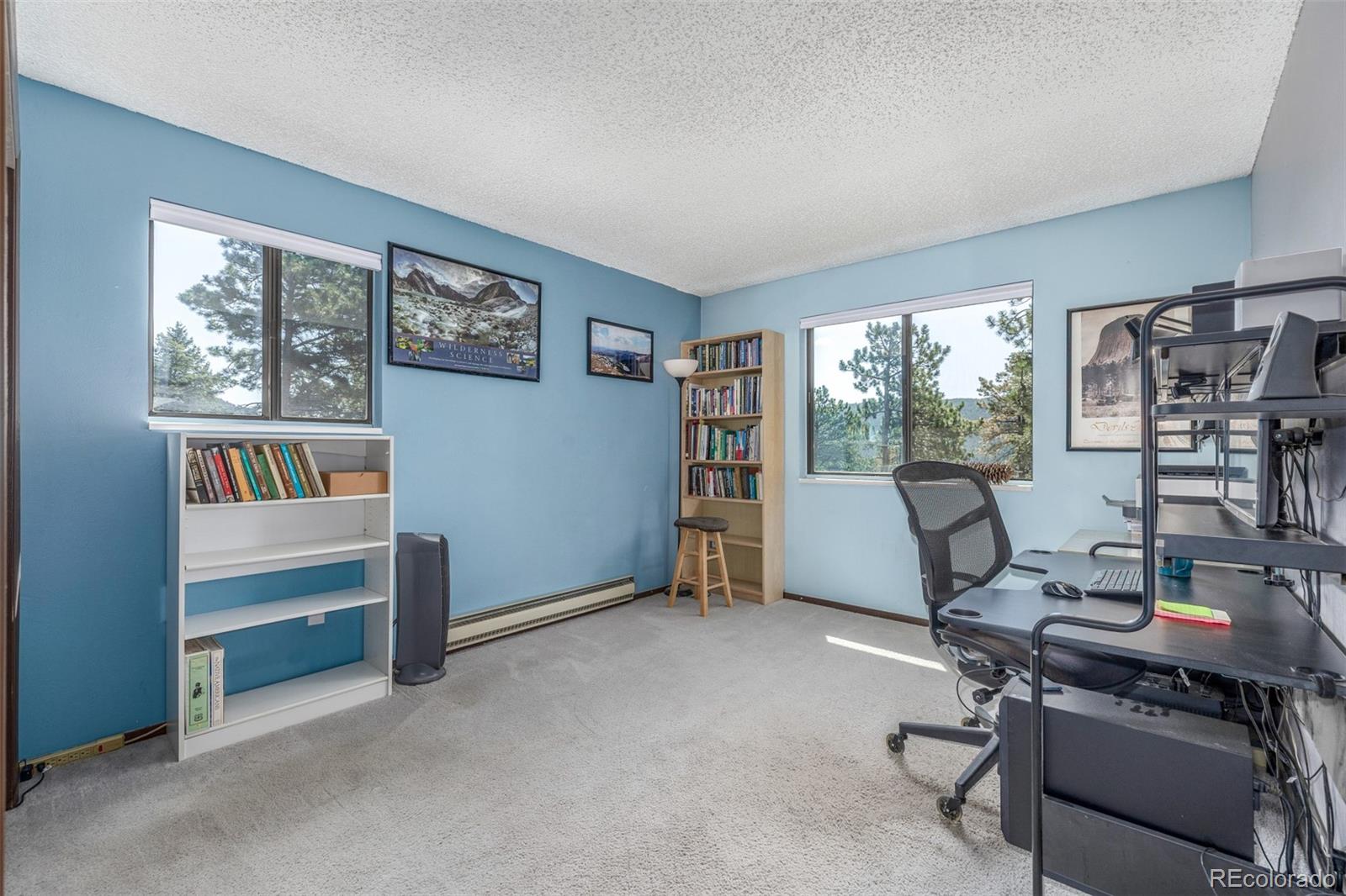 MLS Image #21 for 9629  fallen rock road,conifer, Colorado
