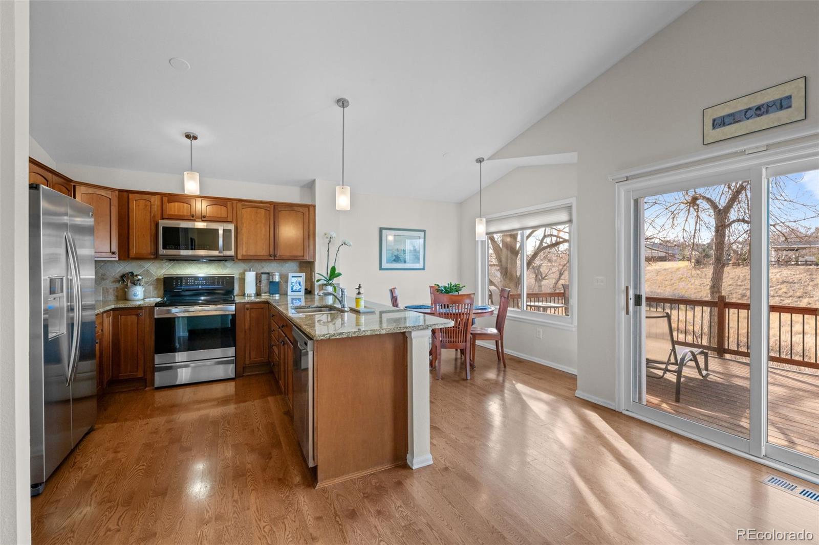 MLS Image #12 for 24  abernathy court,highlands ranch, Colorado