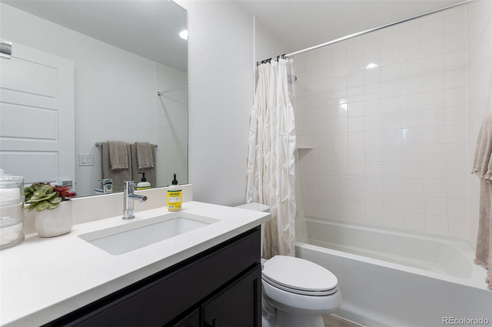 MLS Image #10 for 11045  shining star circle,parker, Colorado