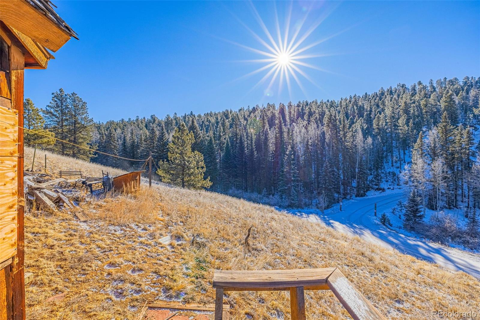 MLS Image #13 for 69  snowberry creek road,florissant, Colorado