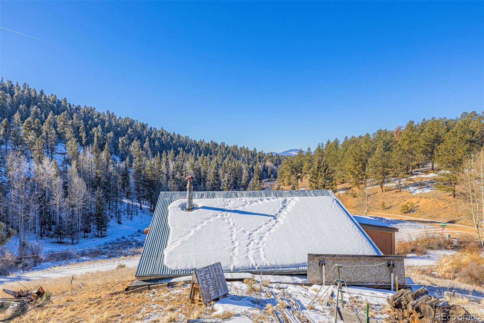 MLS Image #17 for 69  snowberry creek road,florissant, Colorado